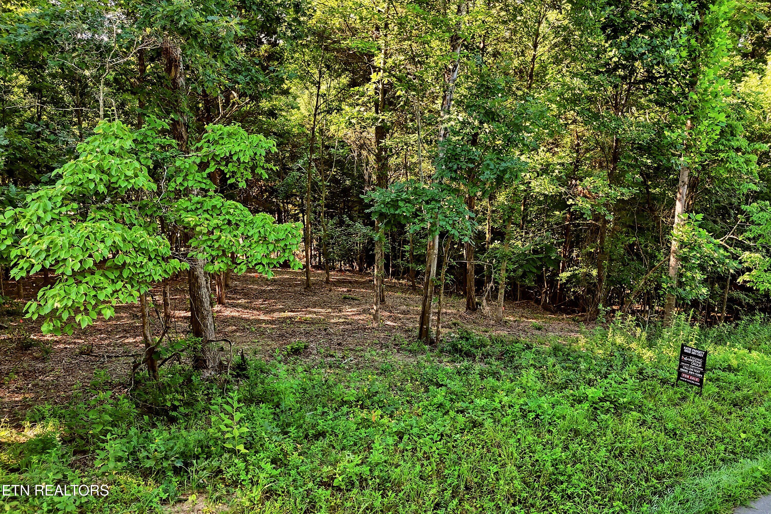161 Pinecrest Drive Loudon TN 37774