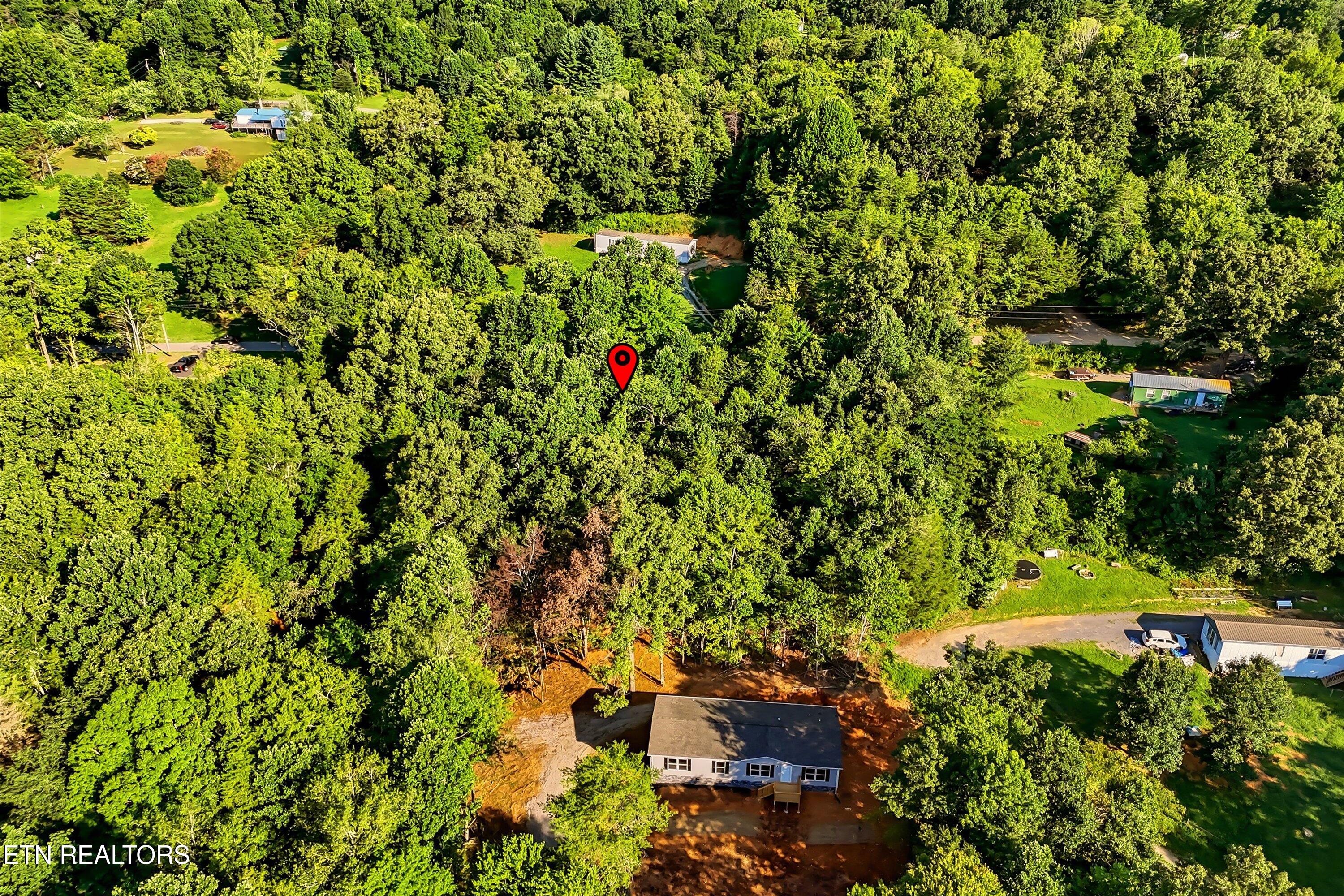161 Pinecrest Drive Loudon TN 37774