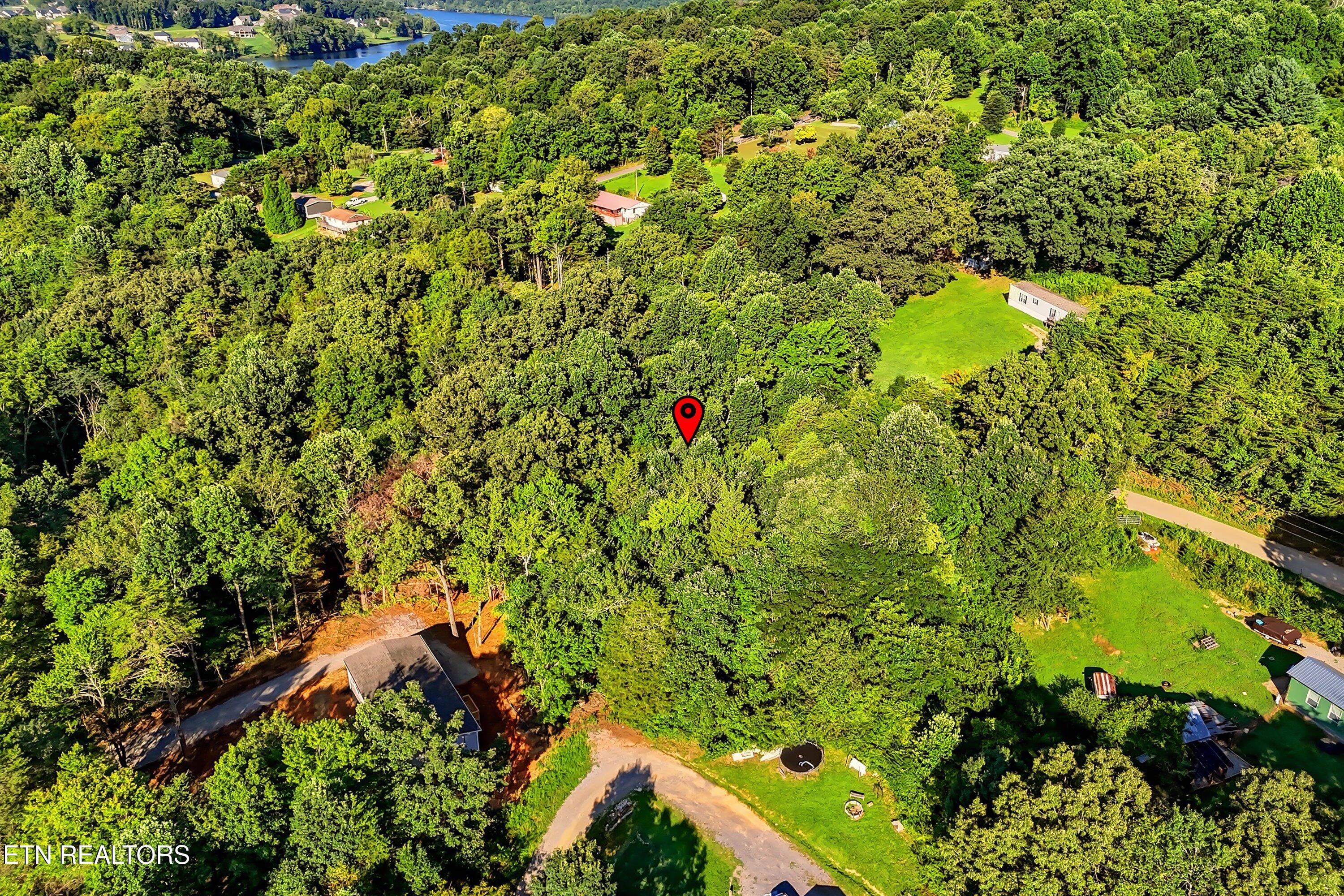 161 Pinecrest Drive Loudon TN 37774