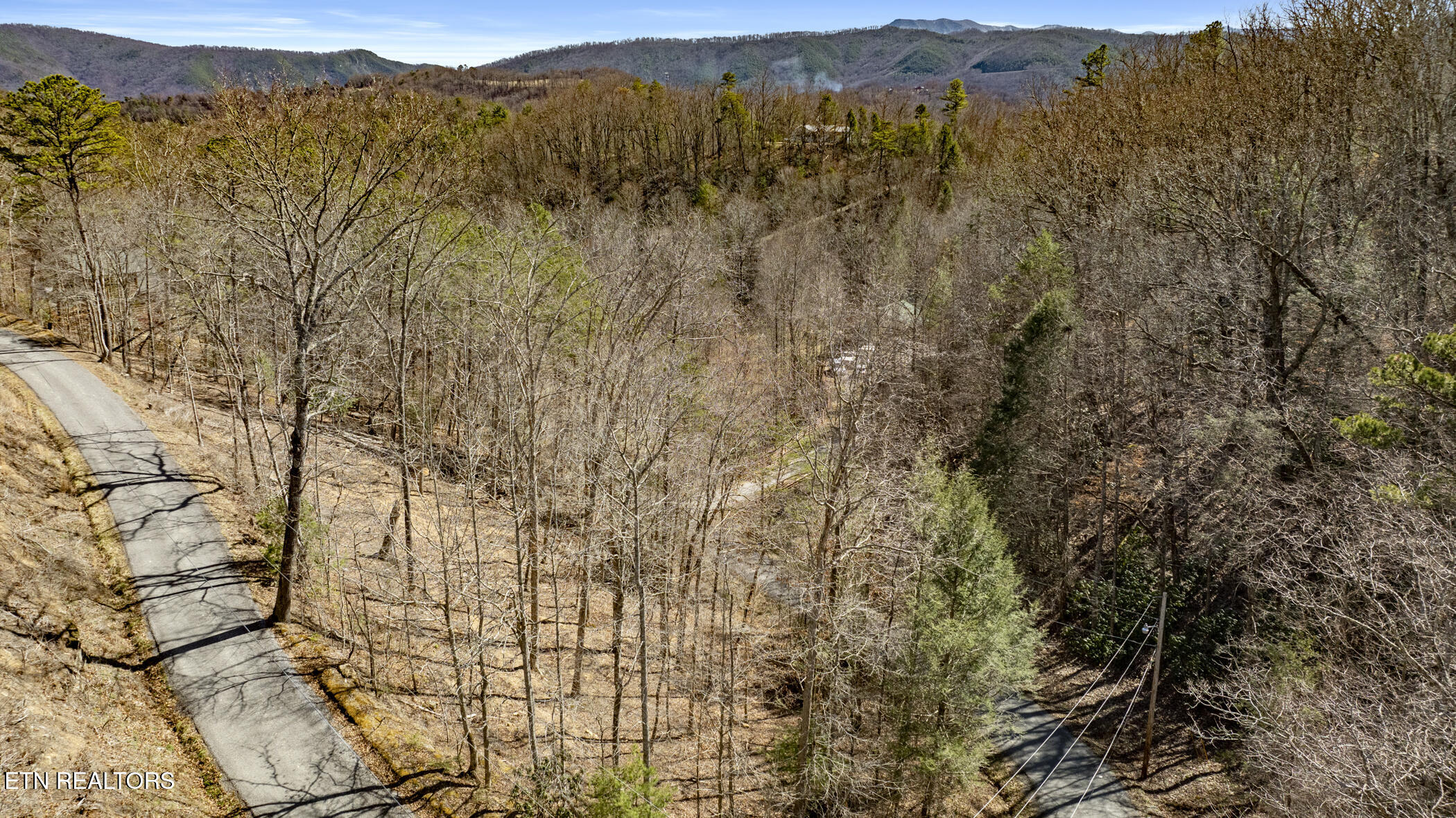 274 Cove Hollow Road Cosby TN 37722