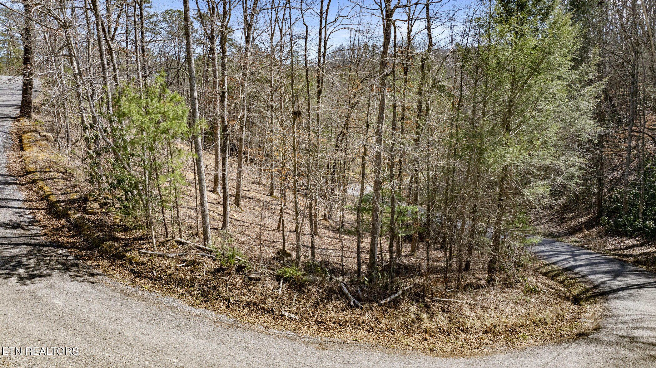 274 Cove Hollow Road Cosby TN 37722