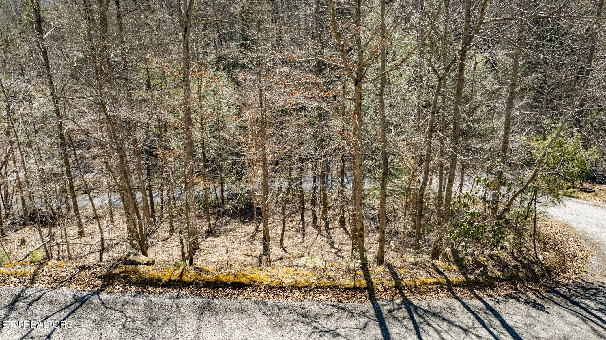 274 Cove Hollow Road Cosby TN 37722