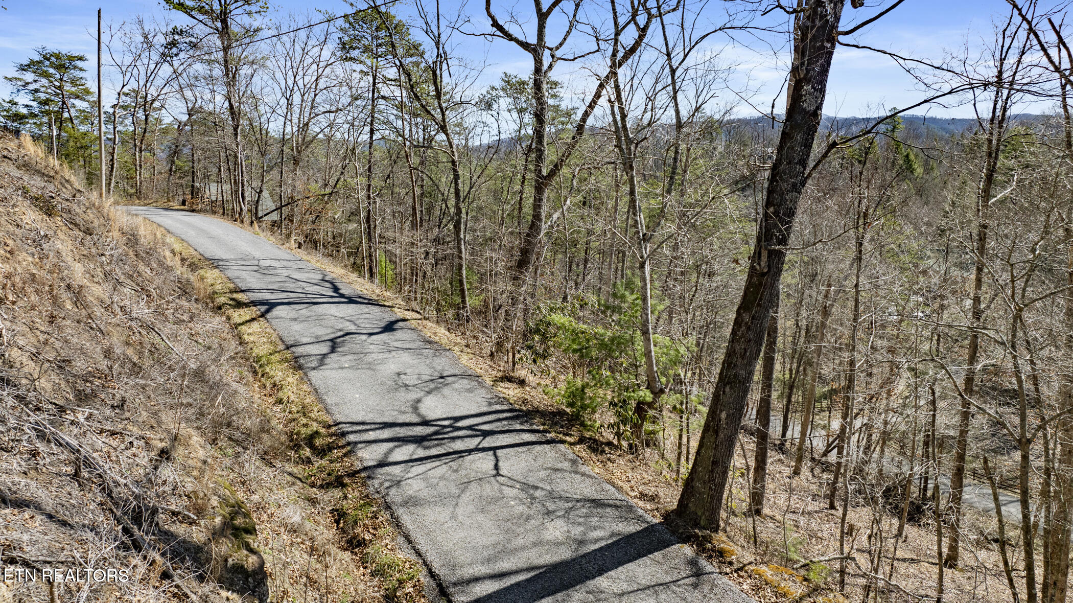 274 Cove Hollow Road Cosby TN 37722