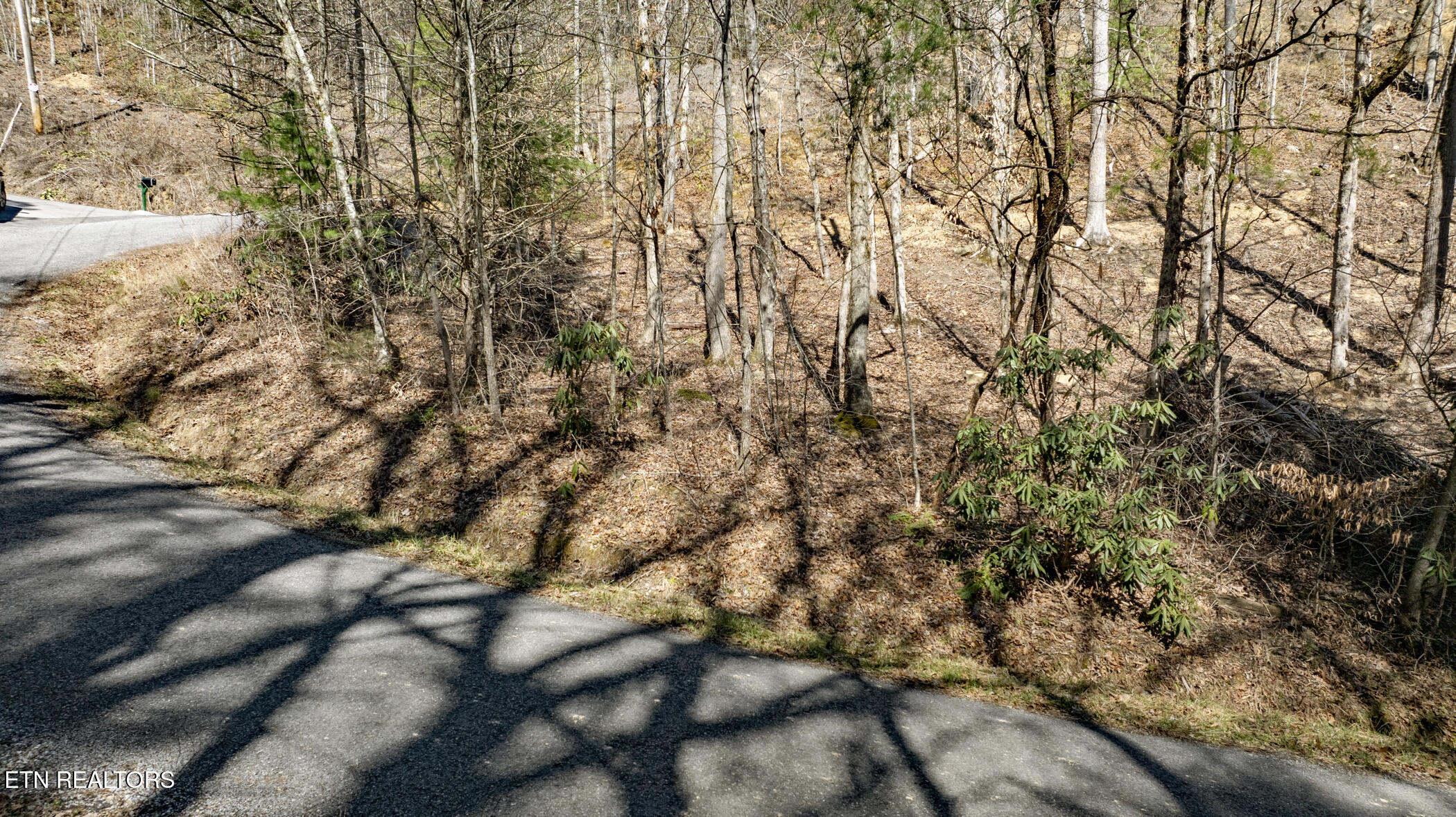 274 Cove Hollow Road Cosby TN 37722