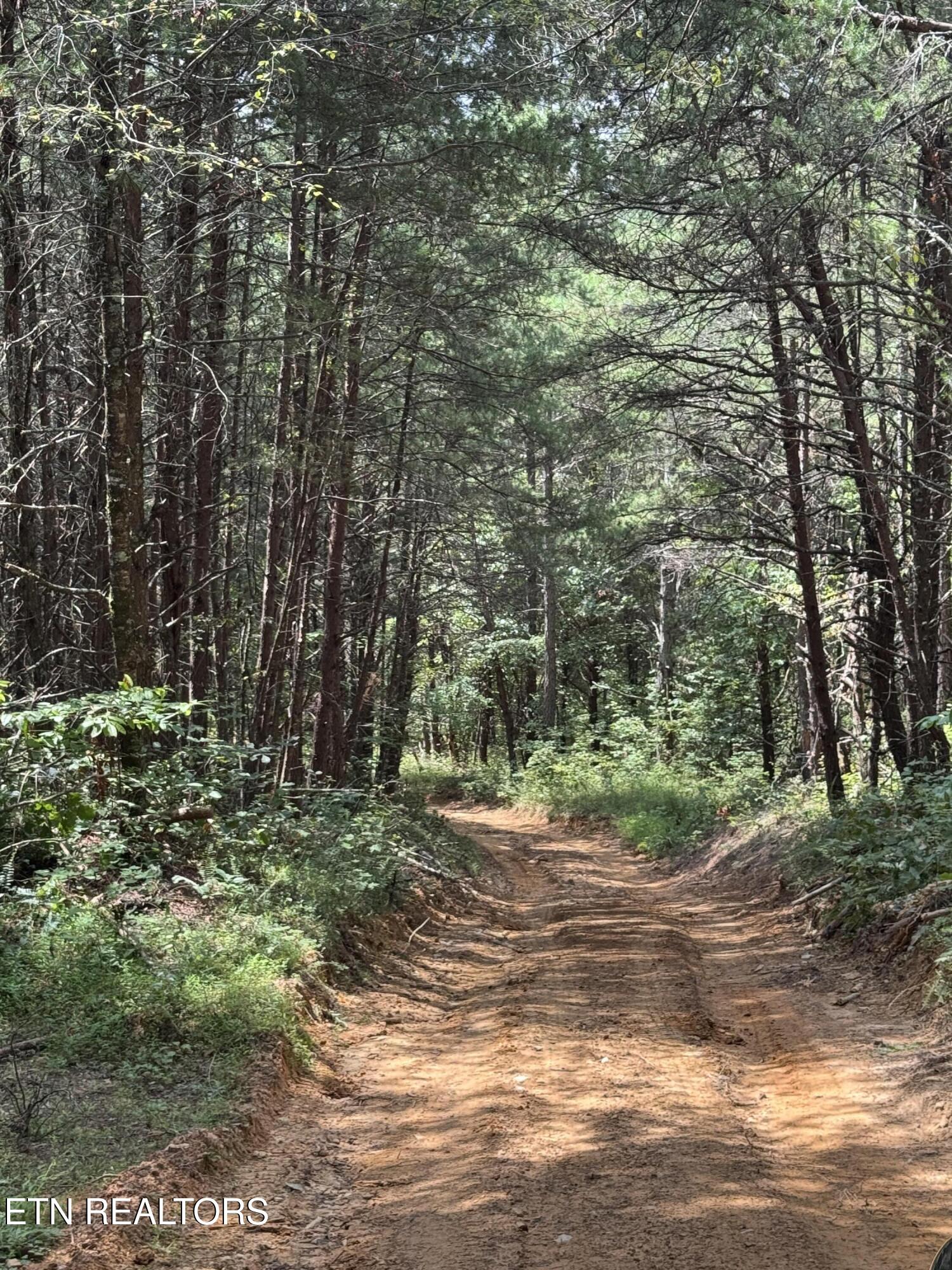 Hannah Davidson Road Robbins TN 37852