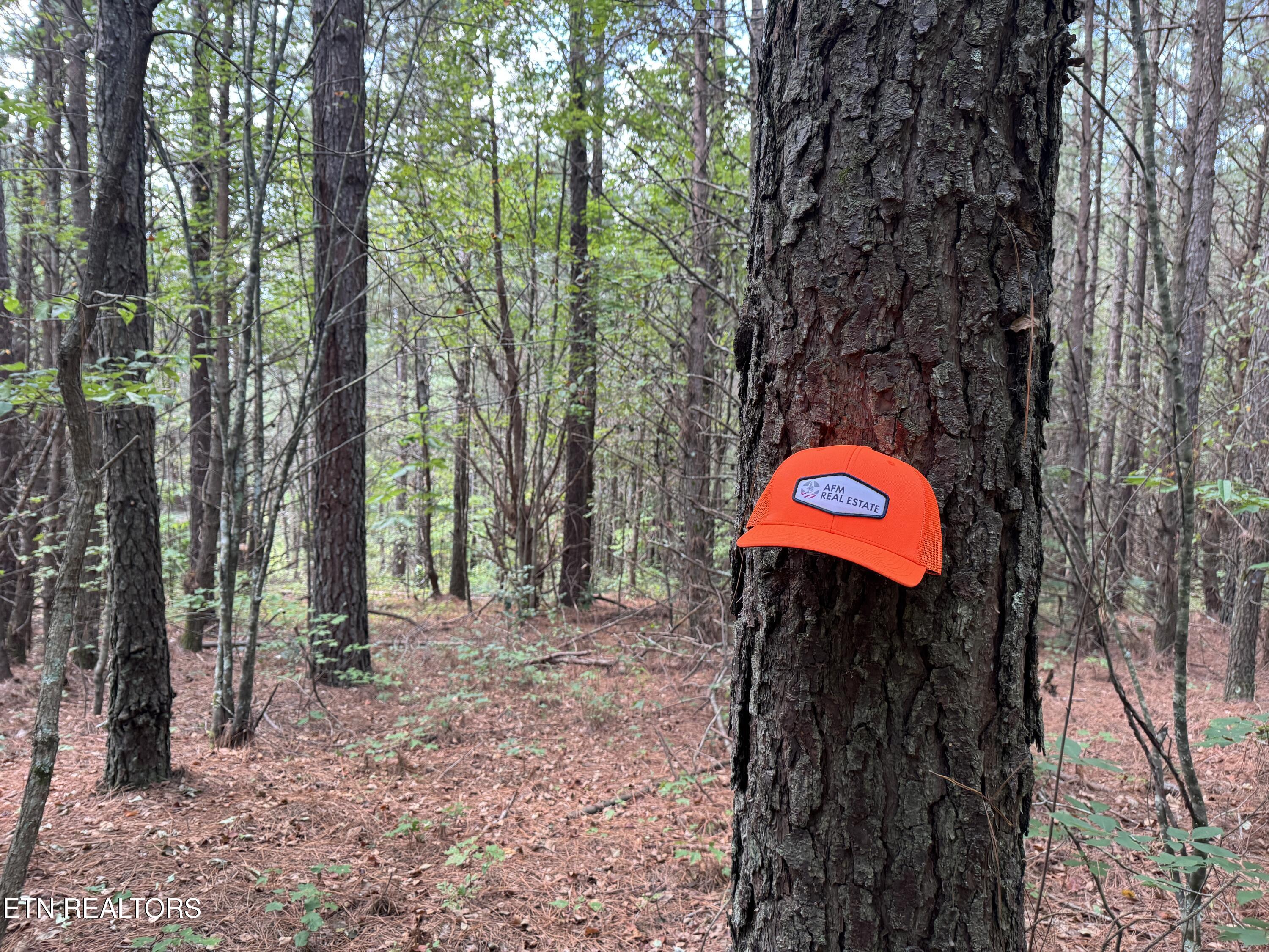 Hannah Davidson Road Robbins TN 37852