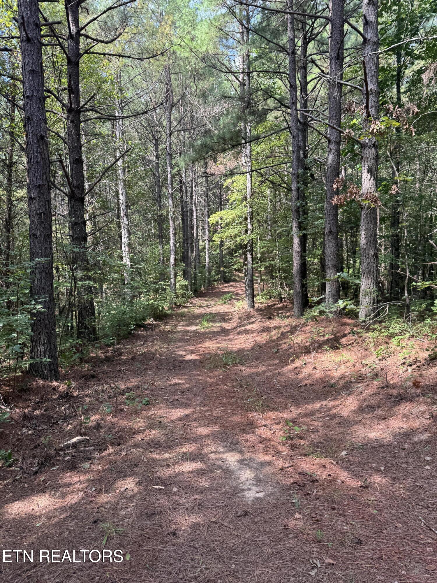 Hannah Davidson Road Robbins TN 37852