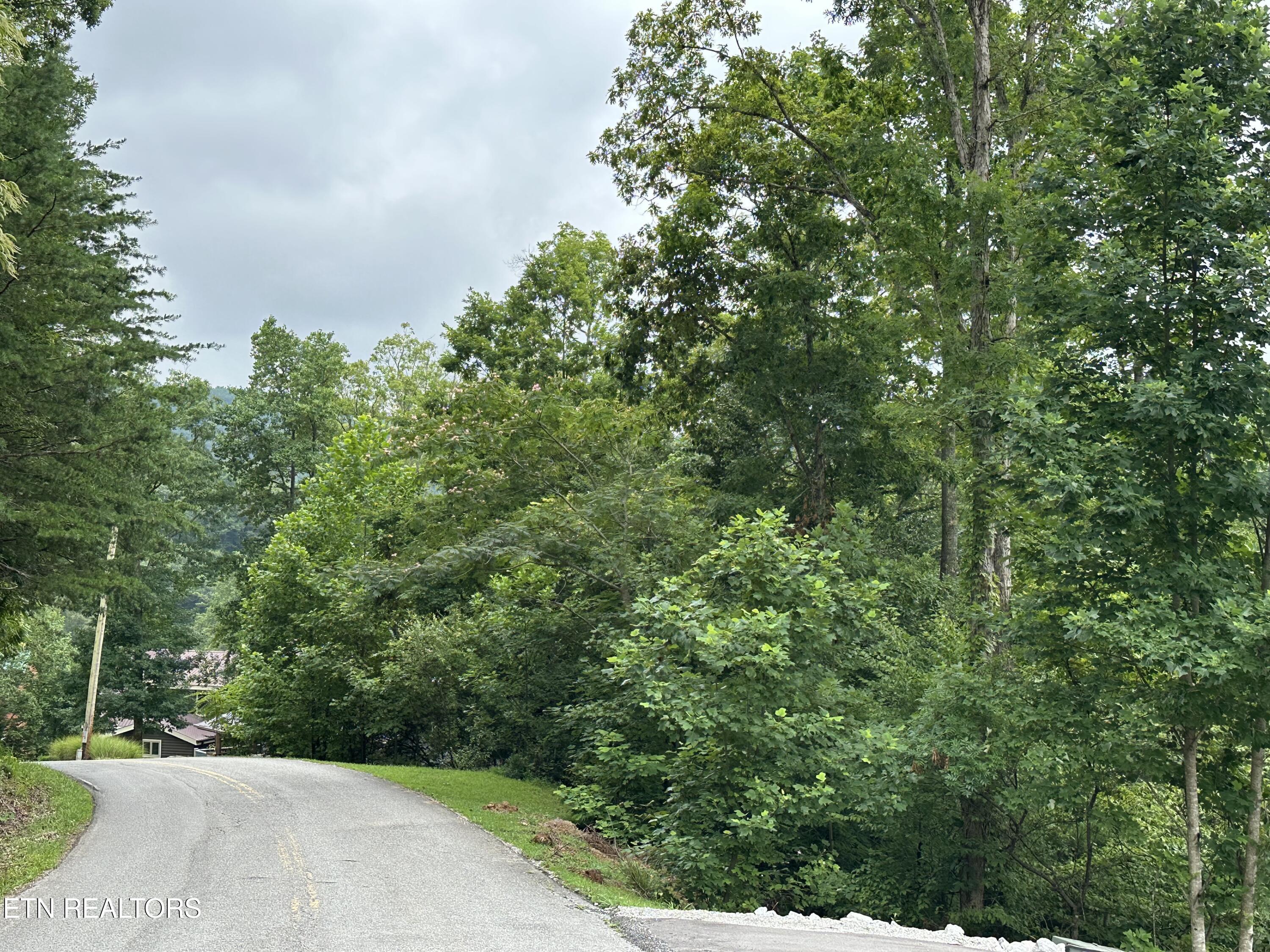 Lots 21&22 Ridge Road Caryville TN 37714