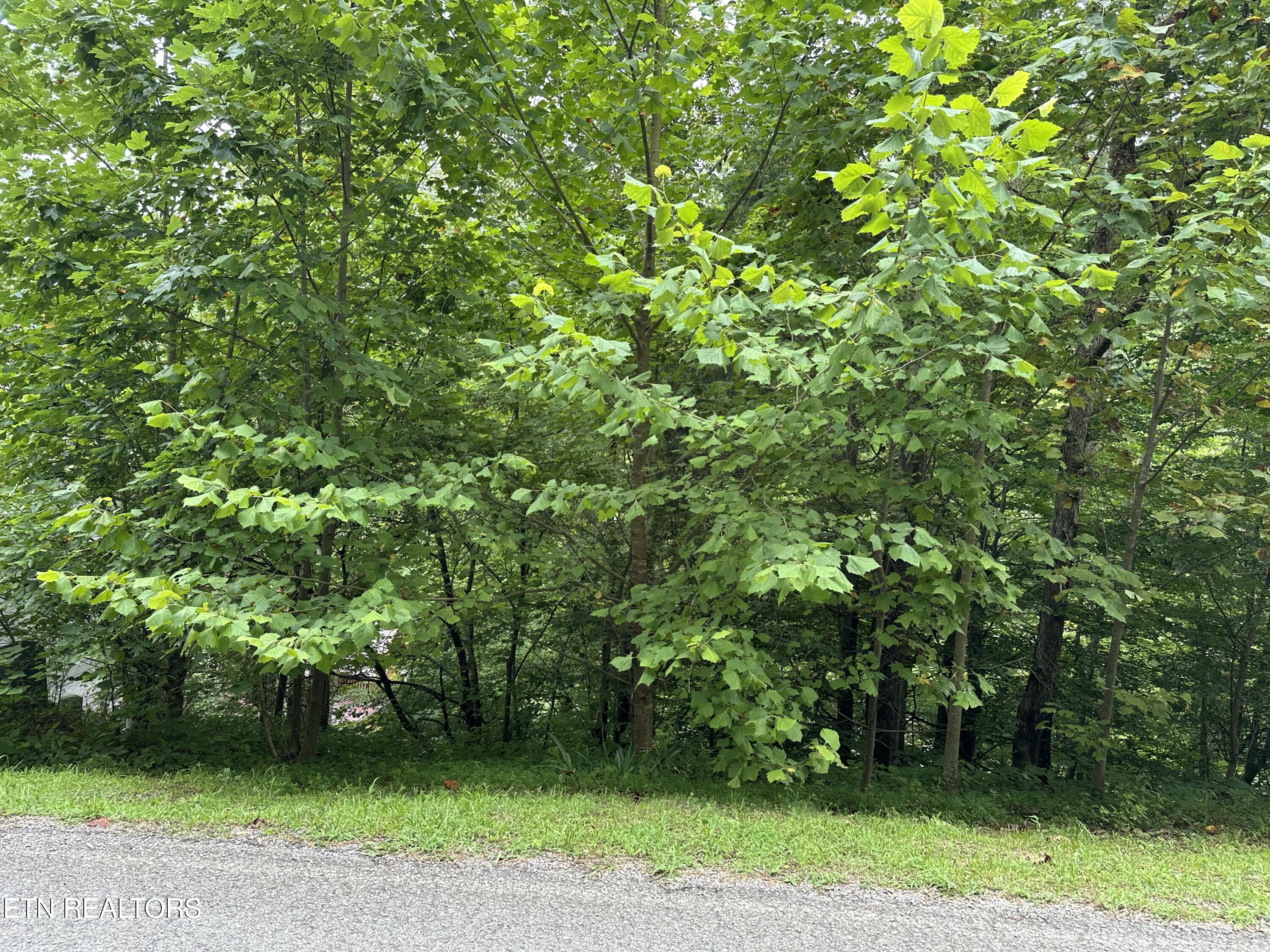 Lots 21&22 Ridge Road Caryville TN 37714