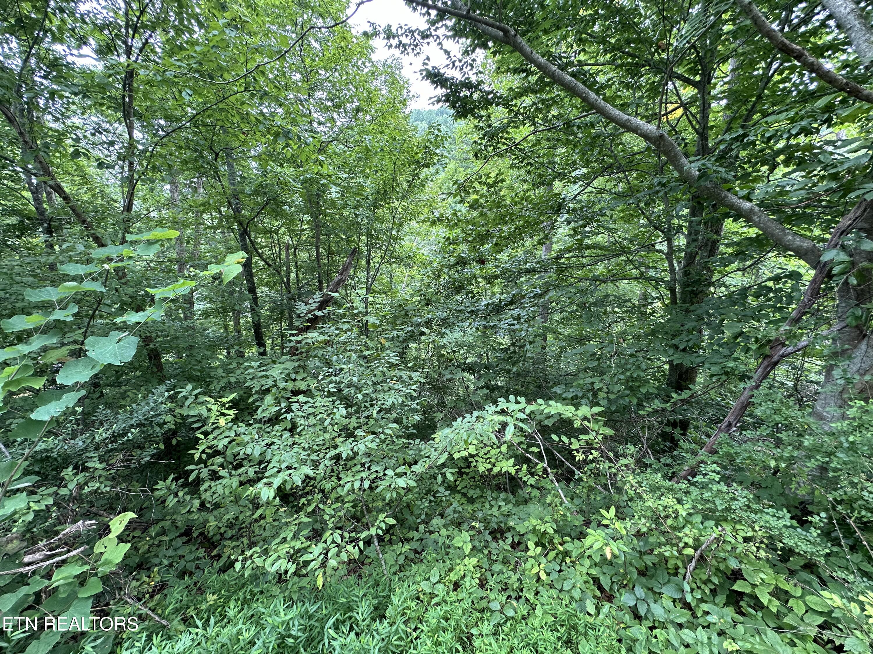 Lots 21&22 Ridge Road Caryville TN 37714