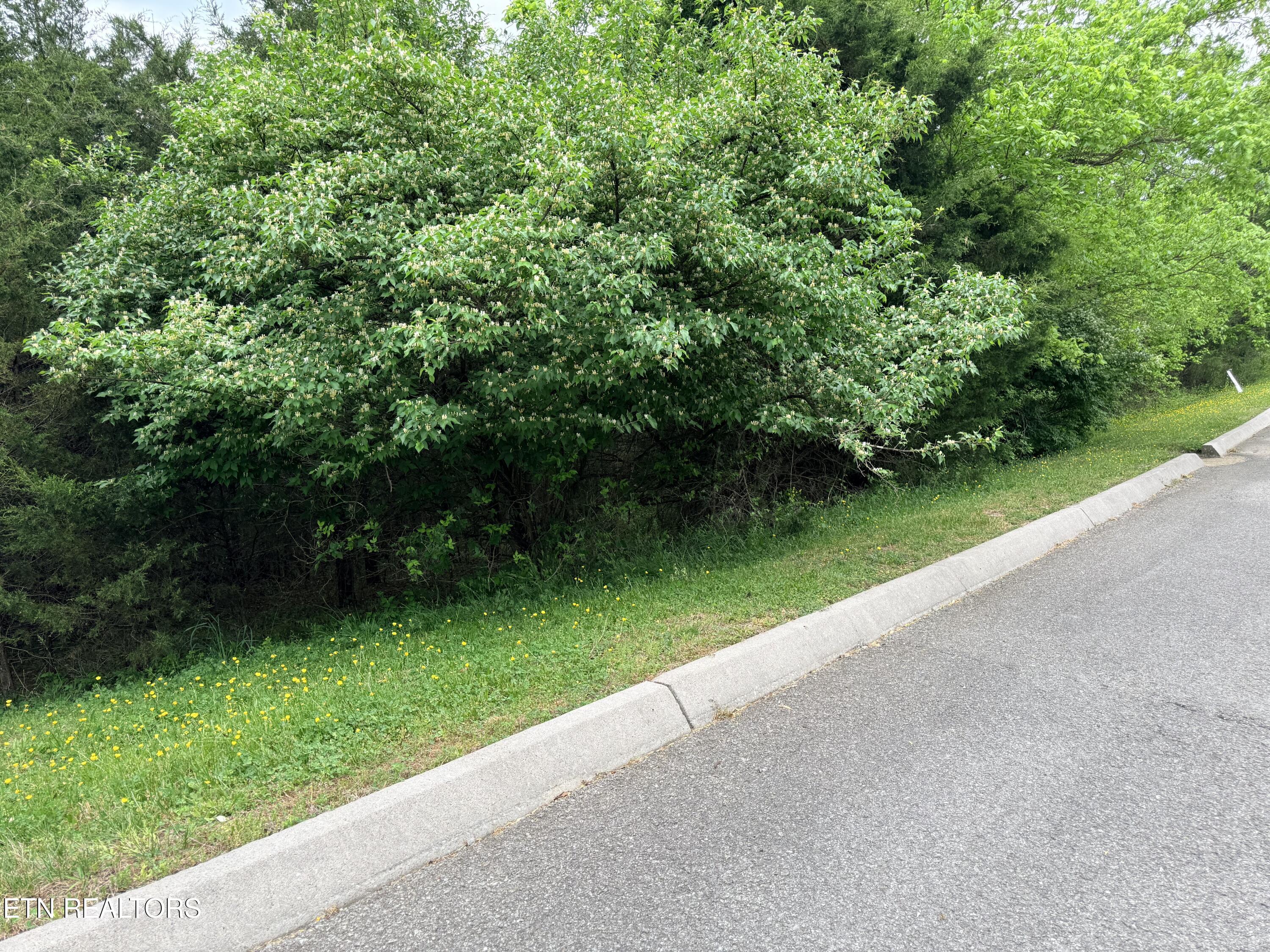 Wedge Way Tazewell TN 37879