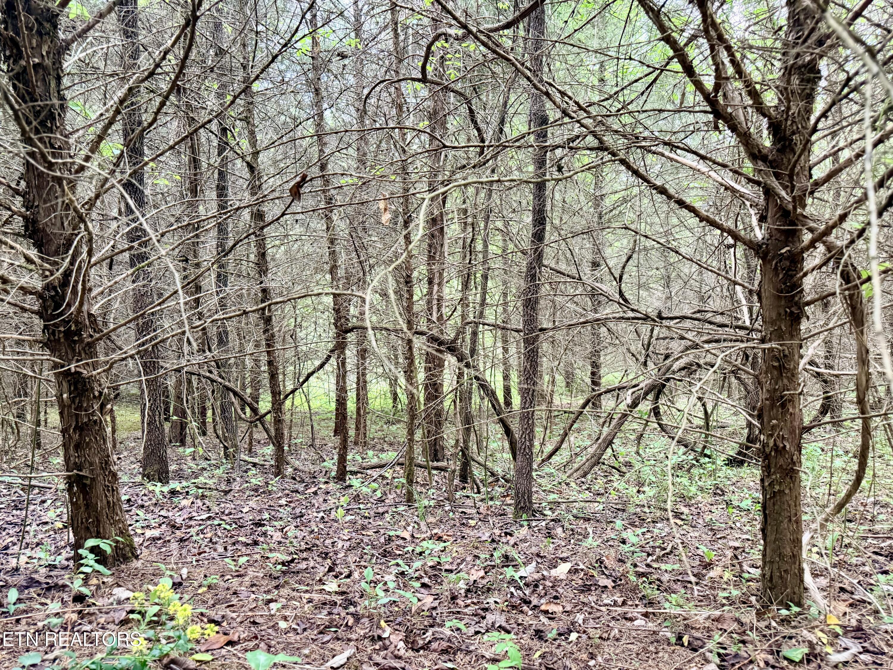Wedge Way Tazewell TN 37879