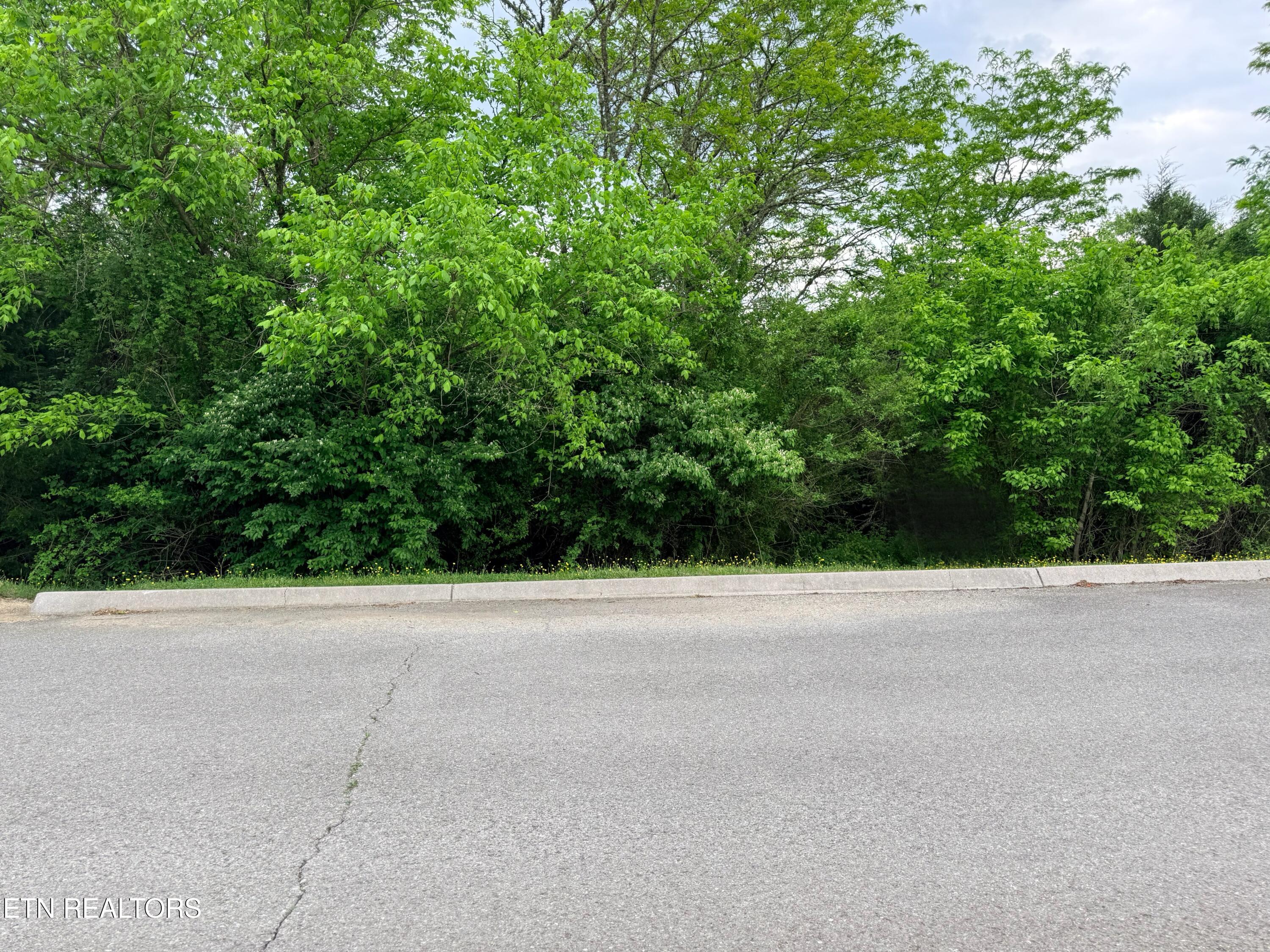 Wedge Way Tazewell TN 37879