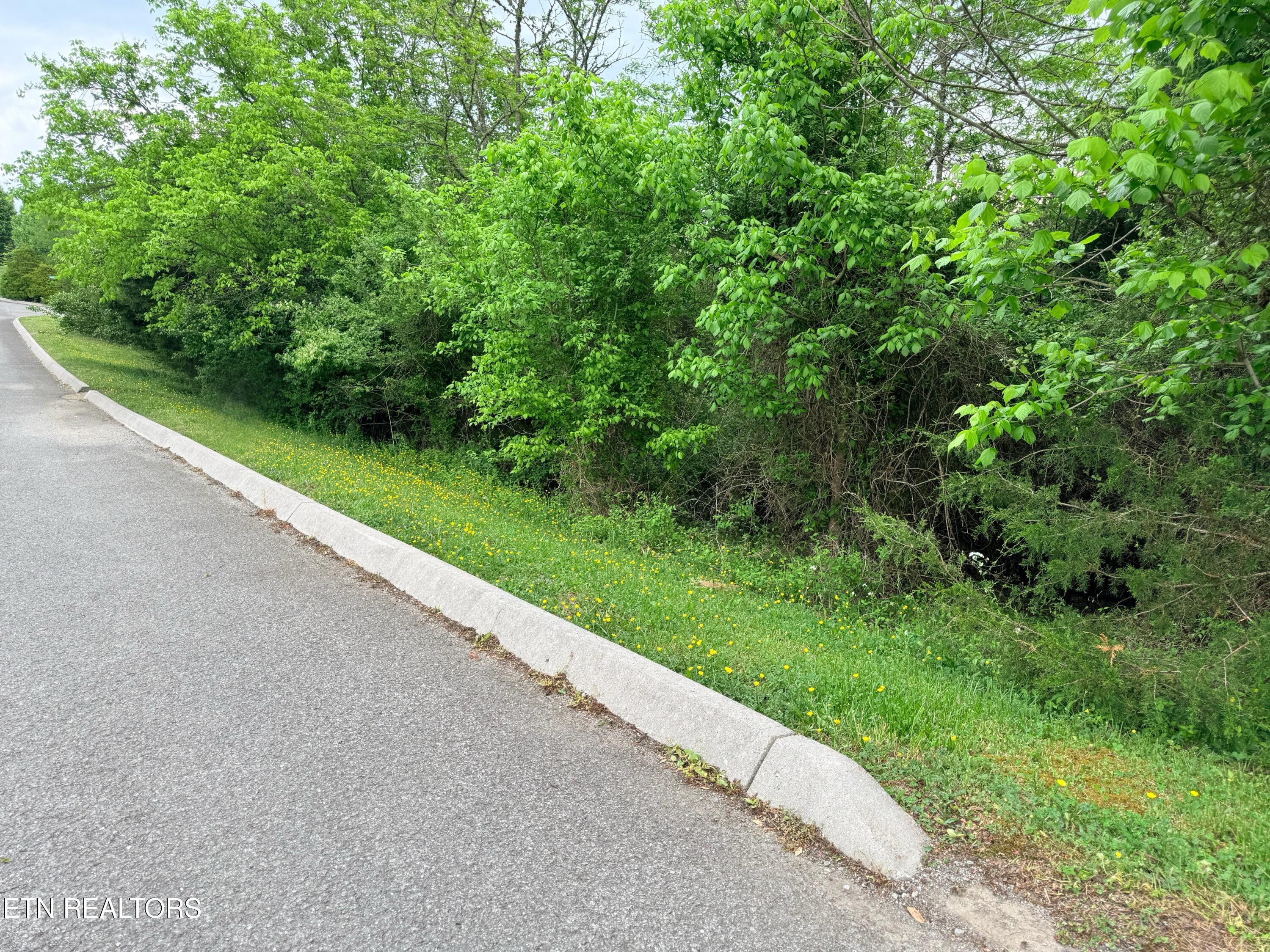 Wedge Way Tazewell TN 37879