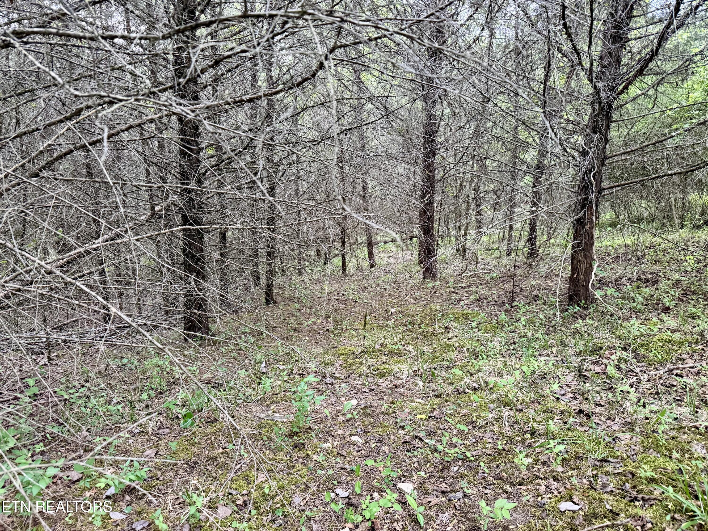 Wedge Way Tazewell TN 37879