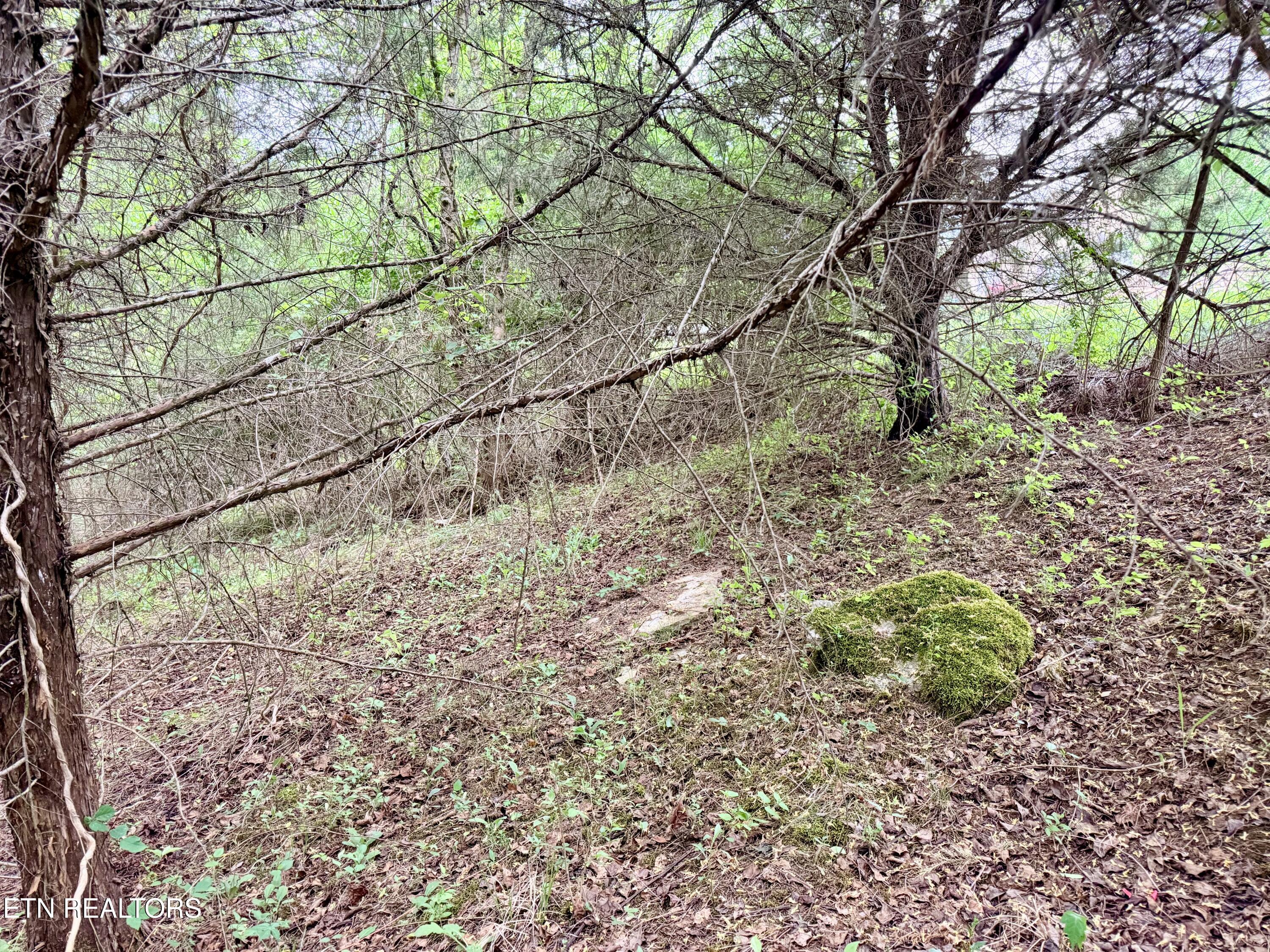 Wedge Way Tazewell TN 37879