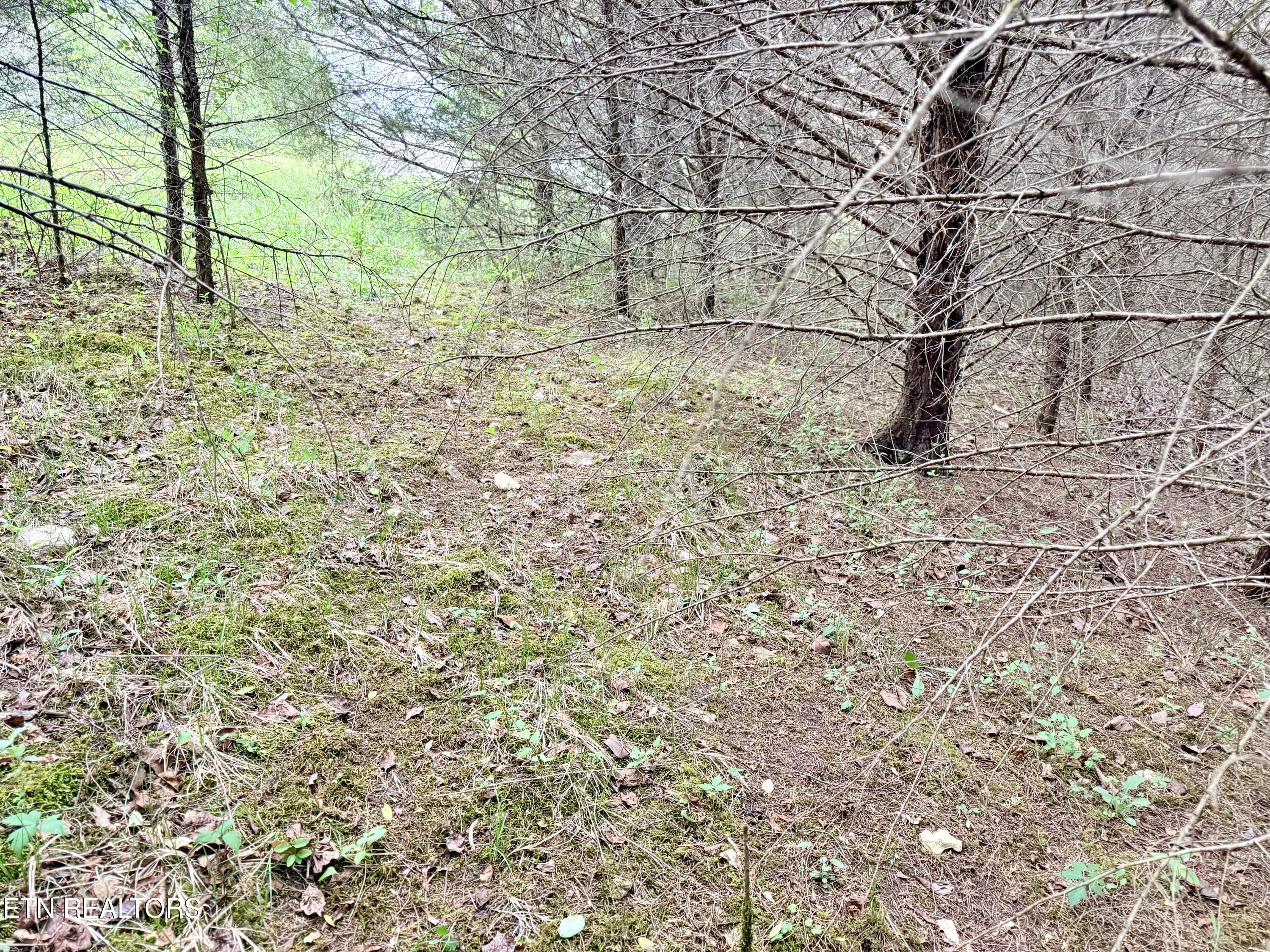 Wedge Way Tazewell TN 37879