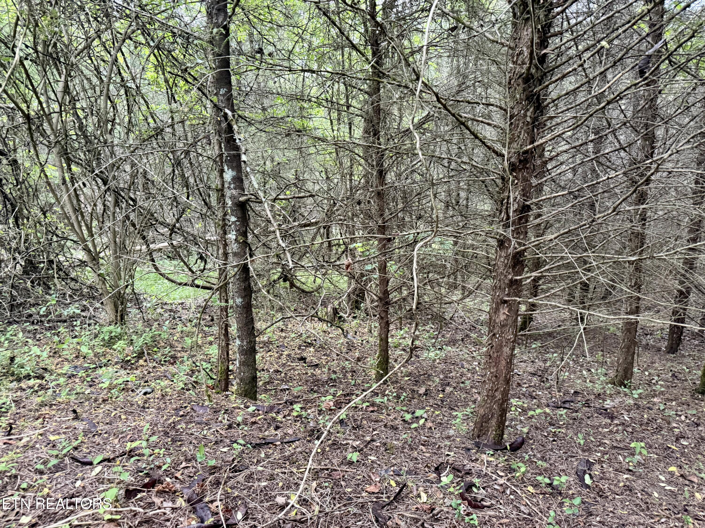 Wedge Way Tazewell TN 37879