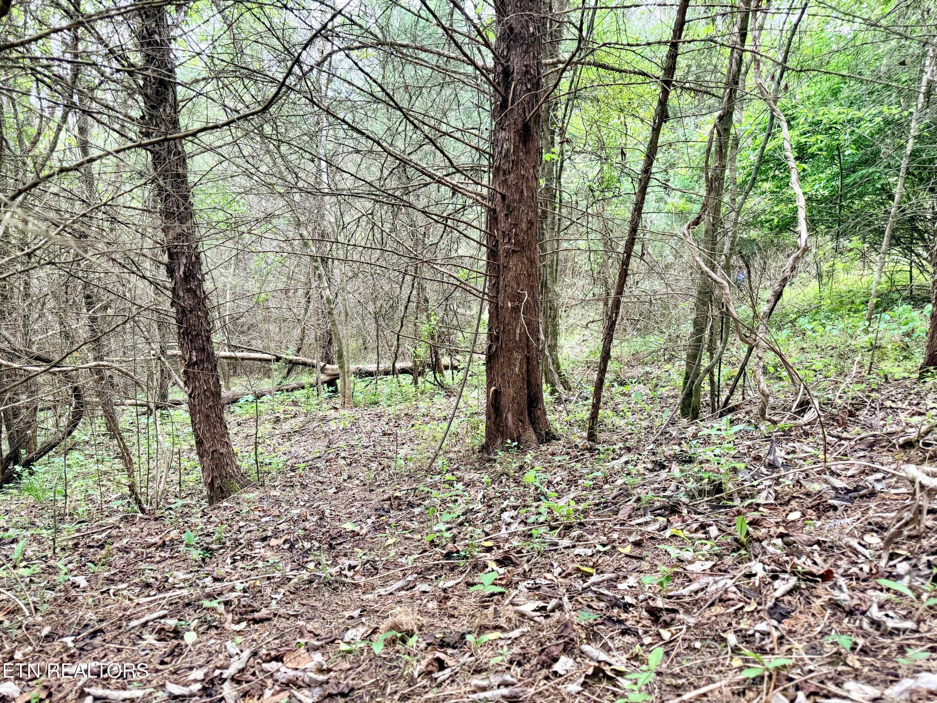 Wedge Way Tazewell TN 37879
