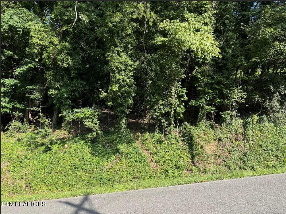 Lot 89 Edgewater Avenue Dayton TN 37321