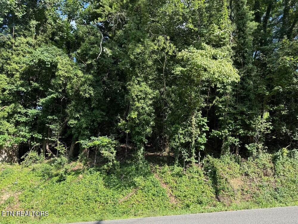 Lot 89 Edgewater Avenue Dayton TN 37321