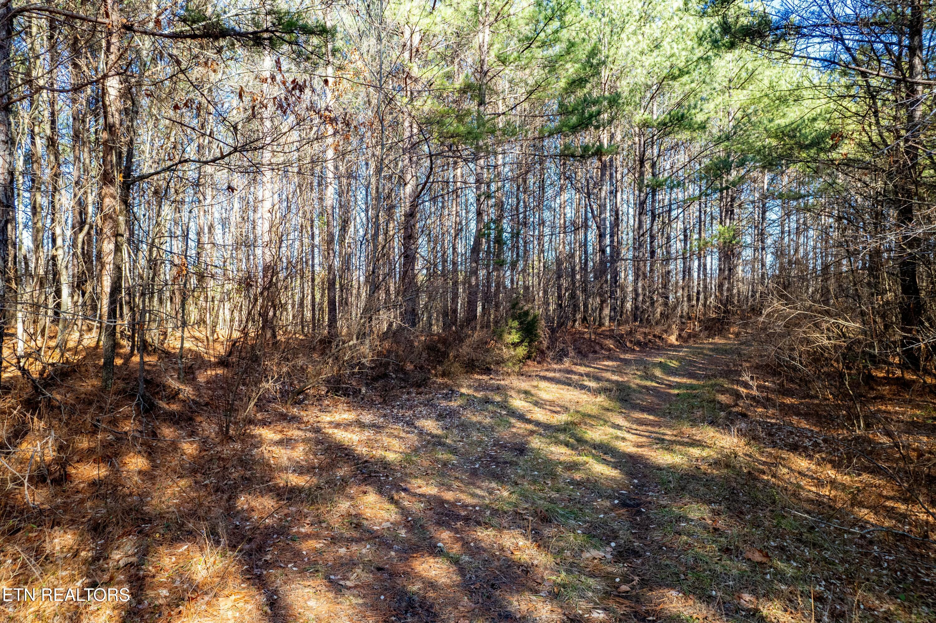 Lower Rockwood Road Lot 16 Rockwood TN 37854