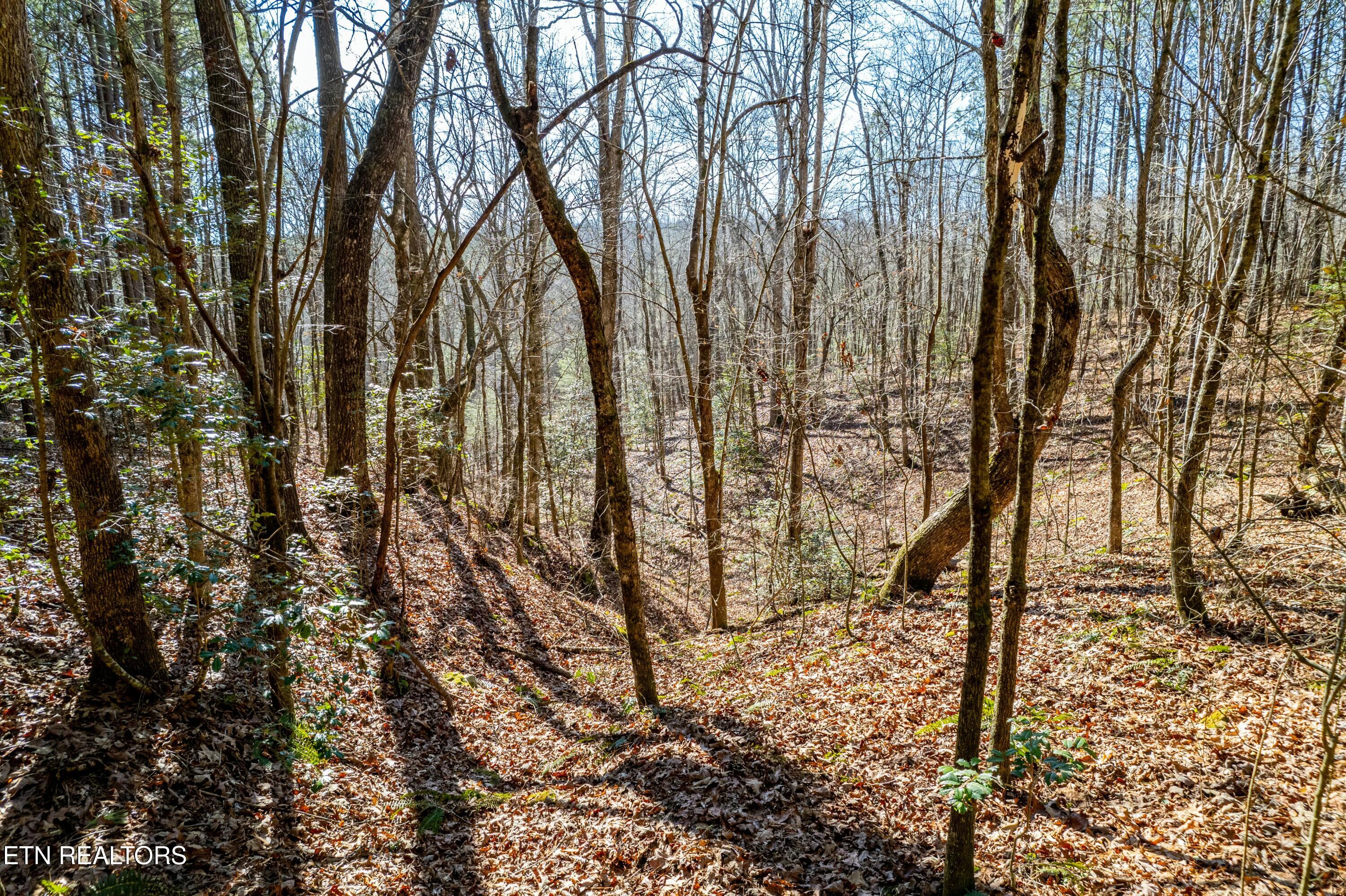 Lower Rockwood Road Lot 16 Rockwood TN 37854