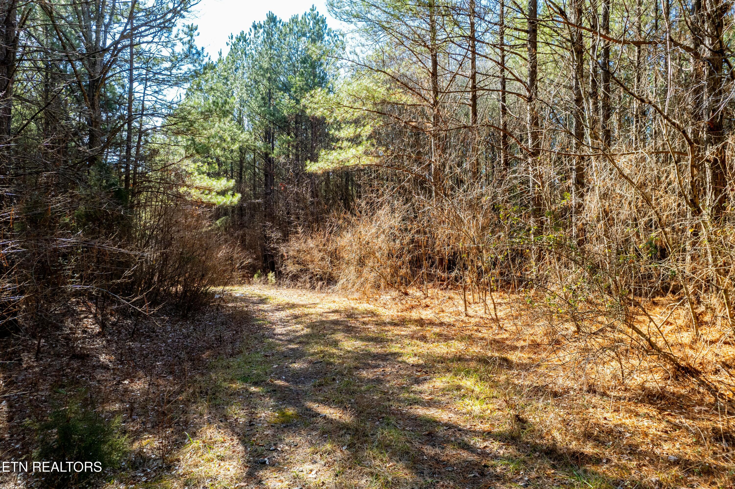 Lower Rockwood Road Lot 16 Rockwood TN 37854
