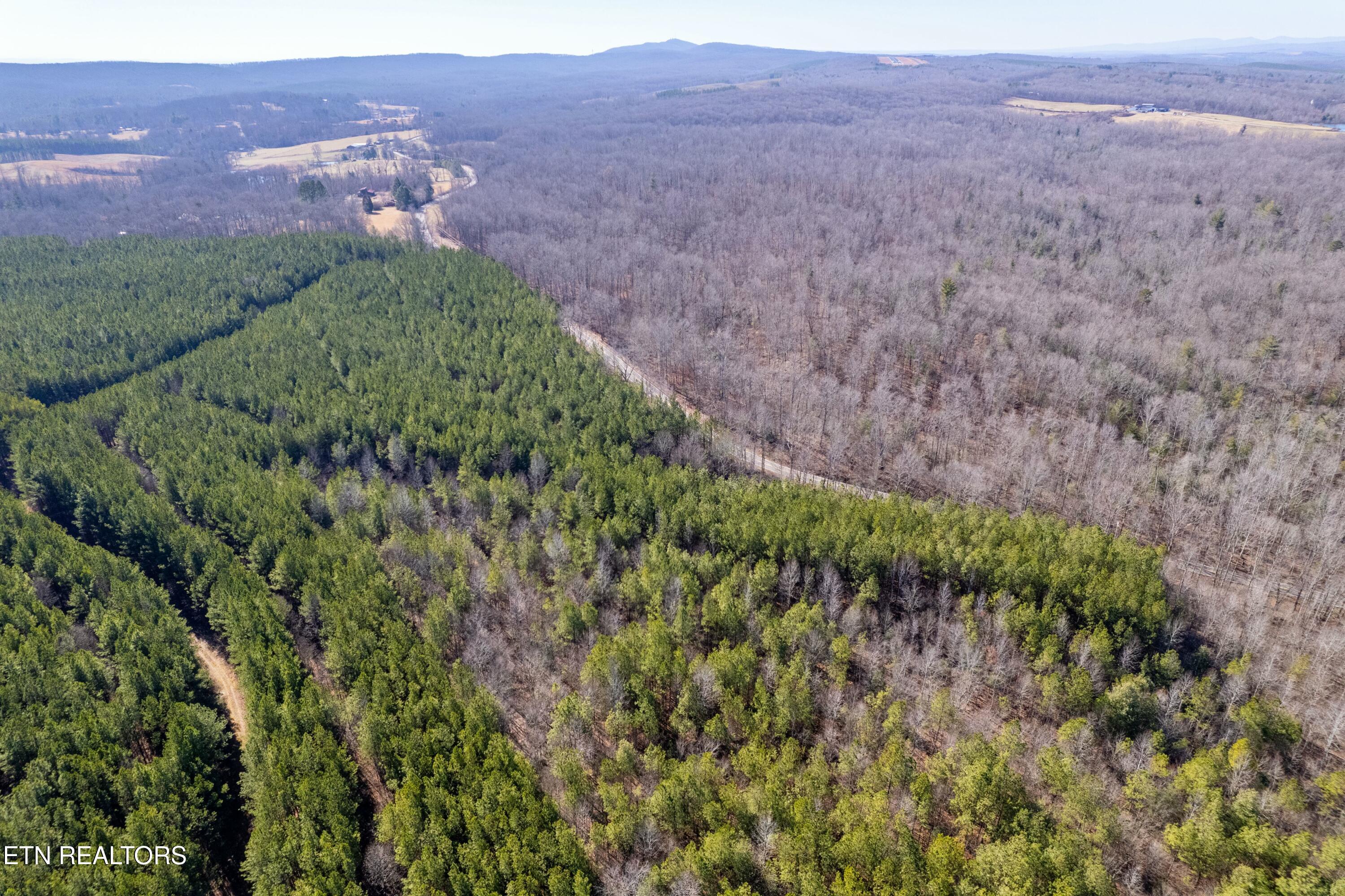 Lower Rockwood Road Lot 16 Rockwood TN 37854
