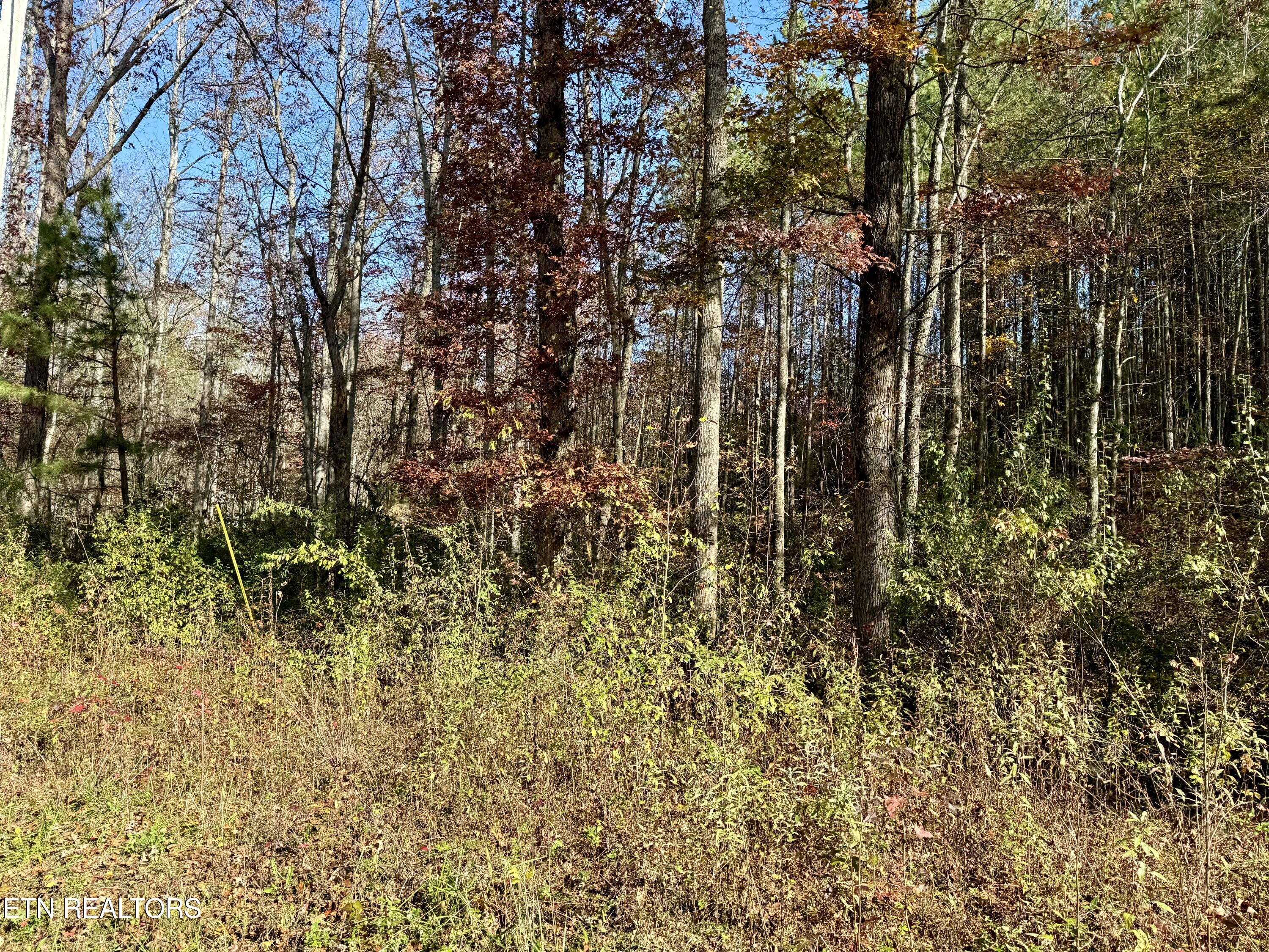 Lower Rockwood Road Lot 16 Rockwood TN 37854