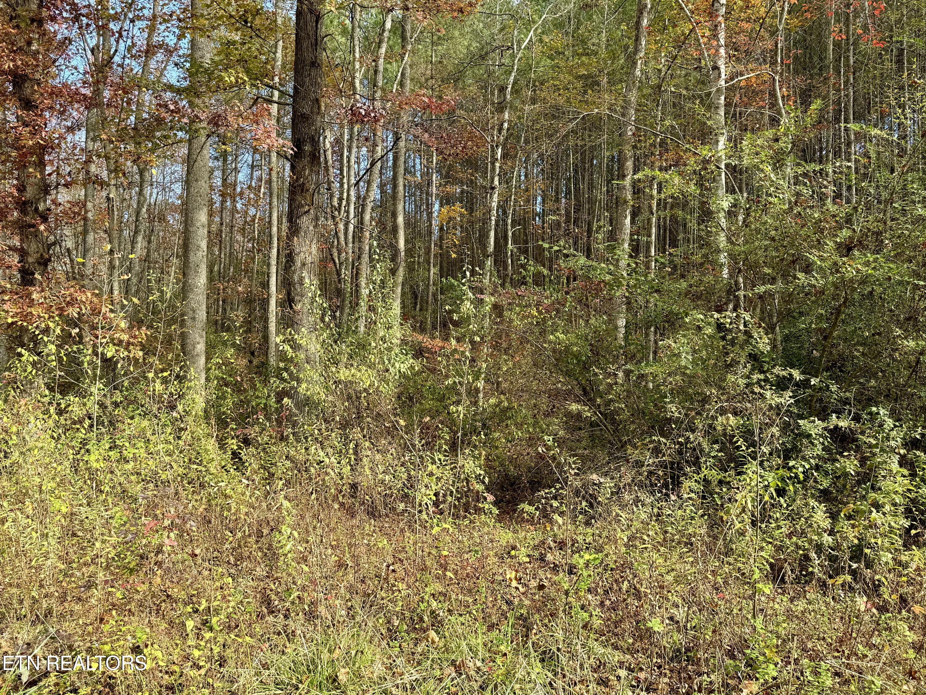 Lower Rockwood Road Lot 16 Rockwood TN 37854