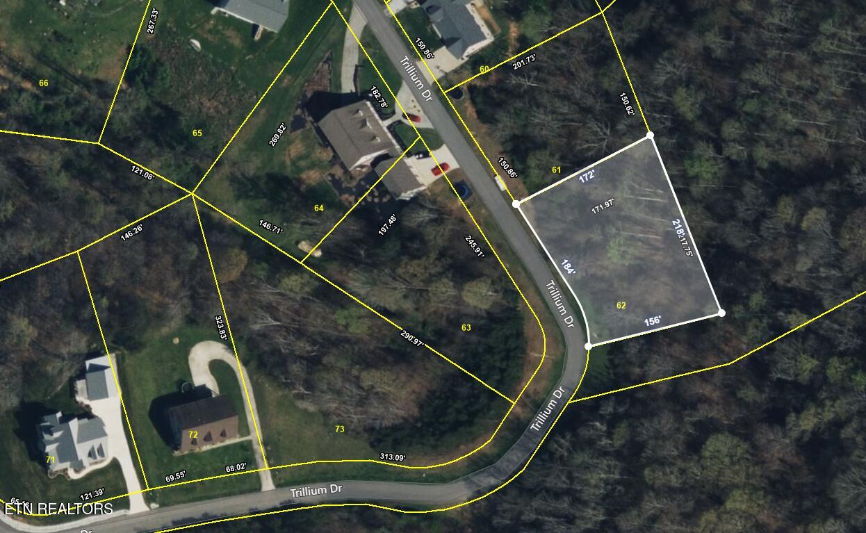 Trillium Drive Andersonville TN 37705