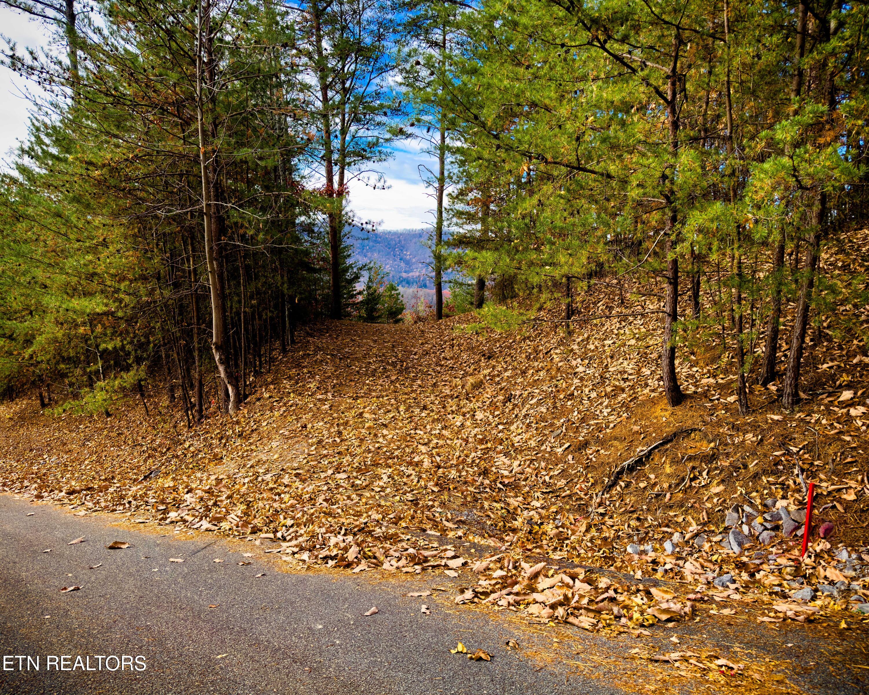 Lot 12-e Stackstone Road Sevierville TN 37876