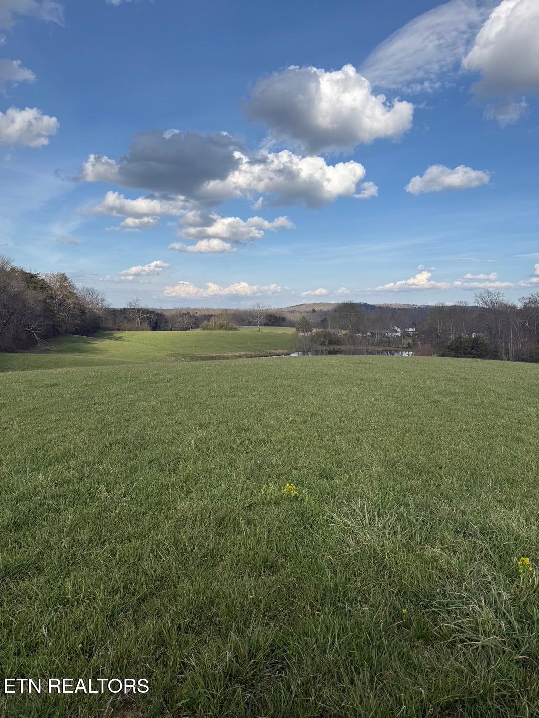 Griffith Road Pikeville TN 37367