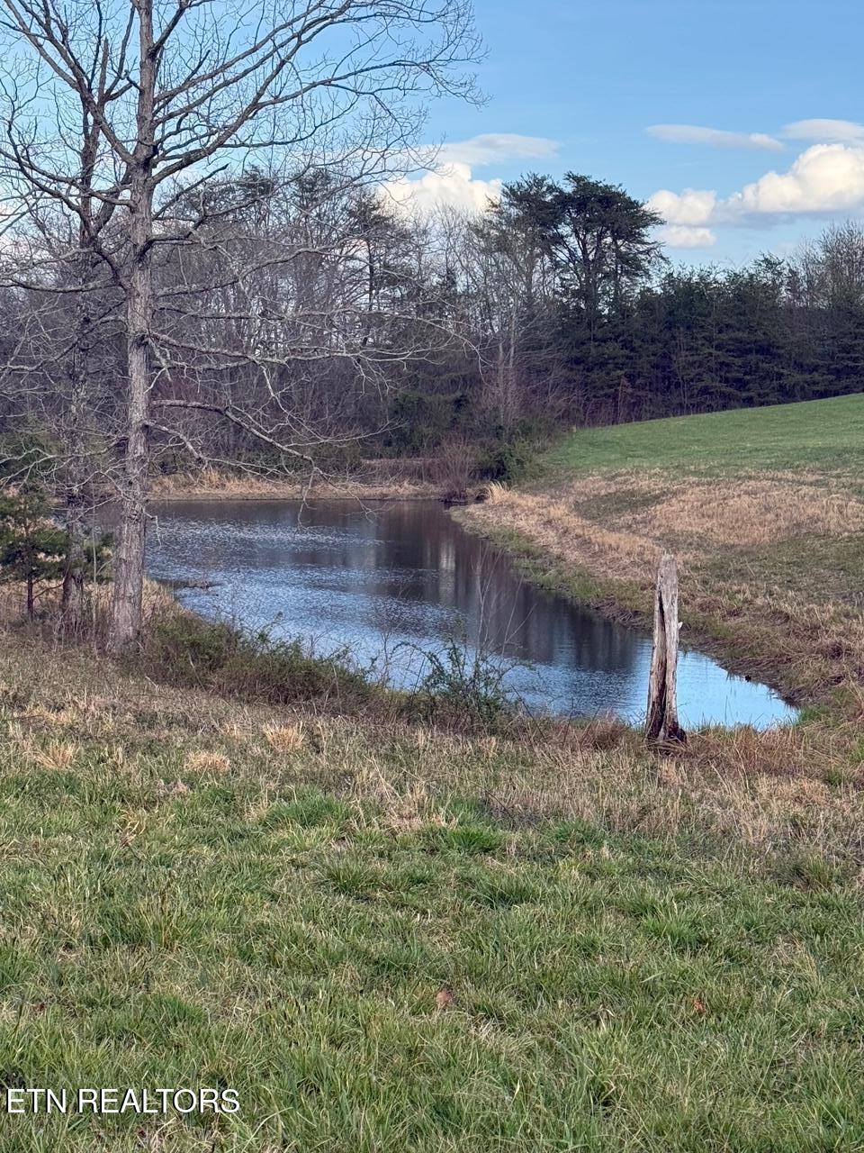 Griffith Road Pikeville TN 37367