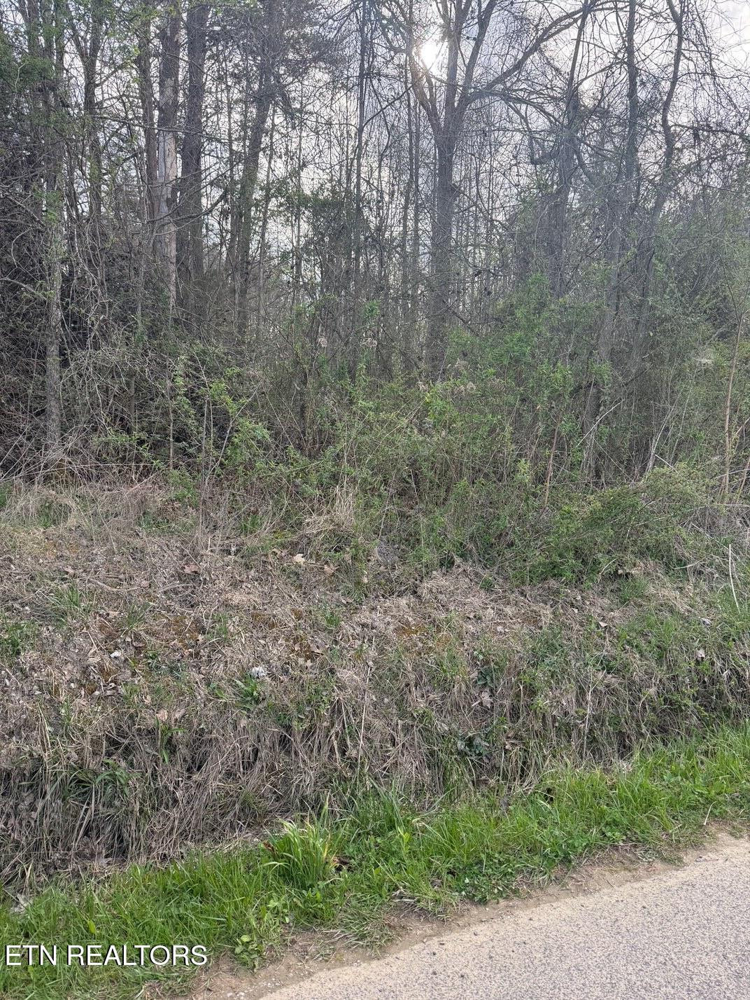 Griffith Road Pikeville TN 37367