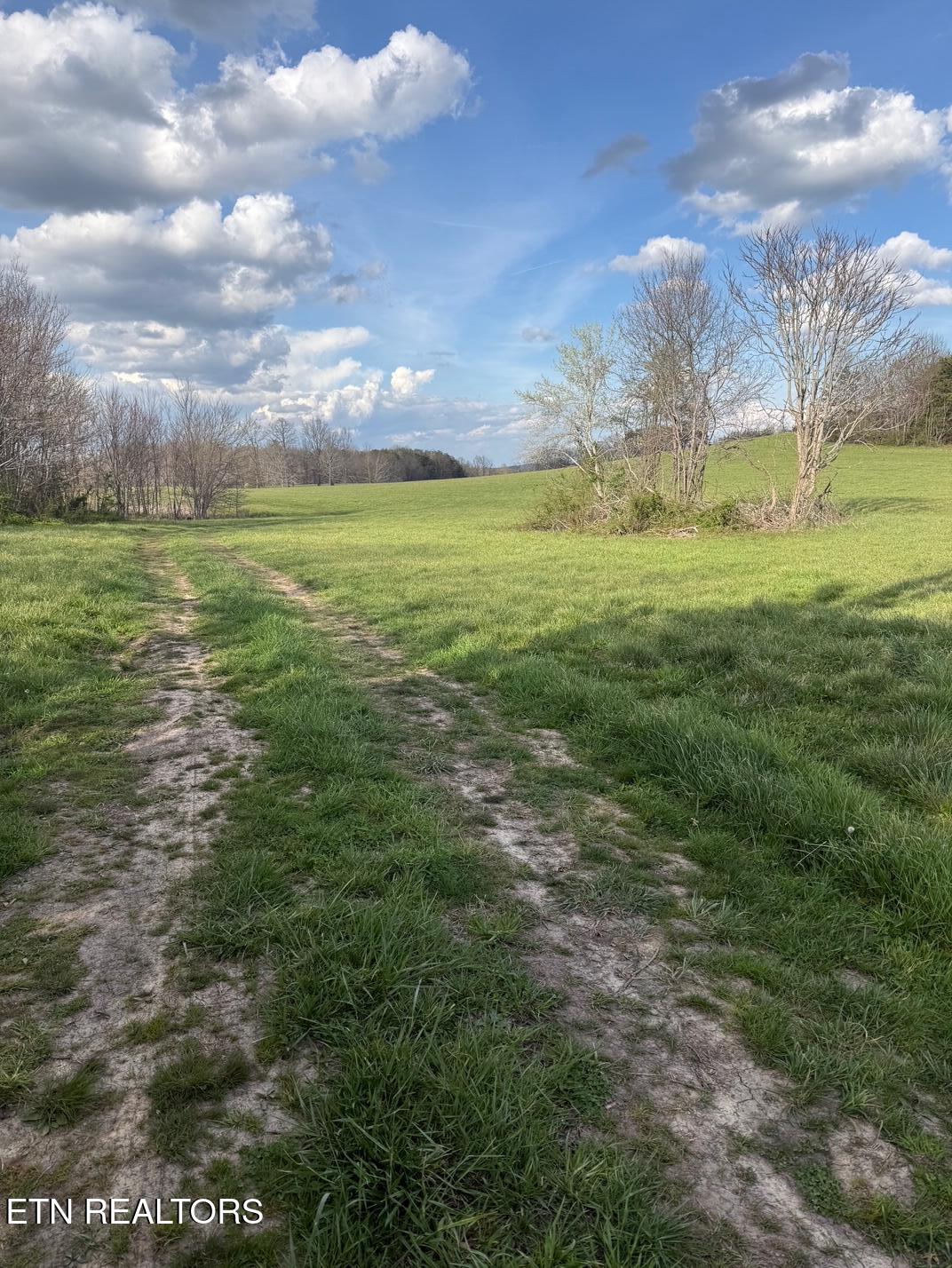 Griffith Road Pikeville TN 37367