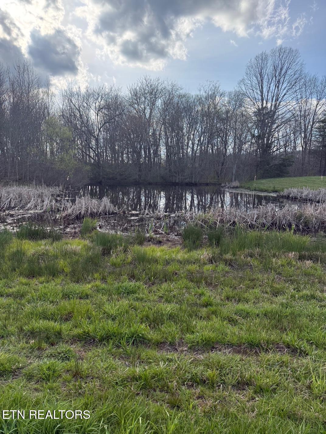 Griffith Road Pikeville TN 37367
