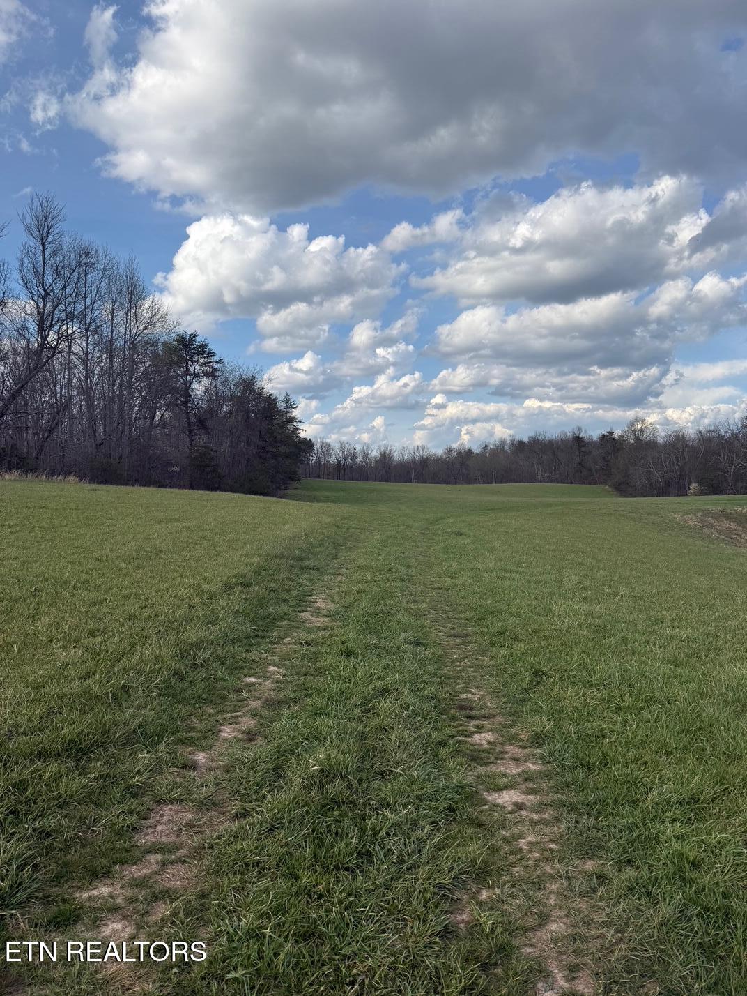 Griffith Road Pikeville TN 37367