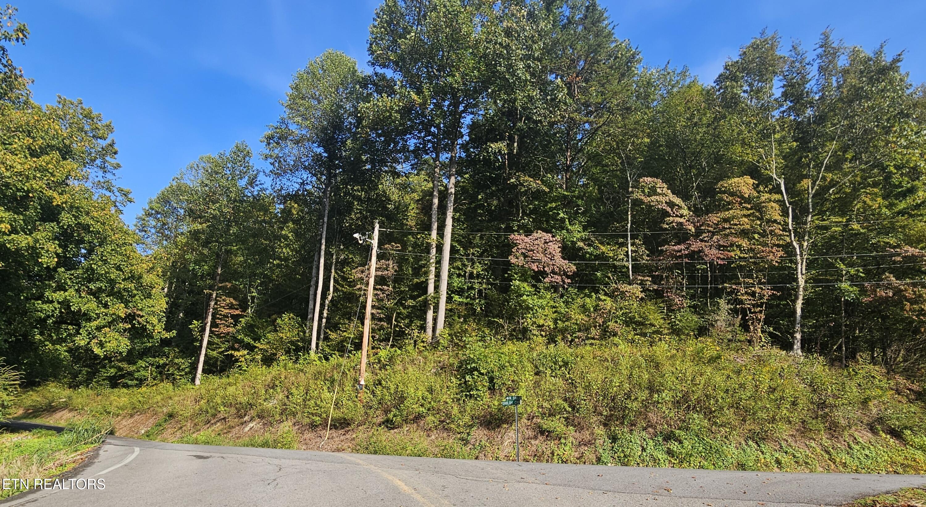4.38 Ac N Shiloh Road Seymour TN 37865