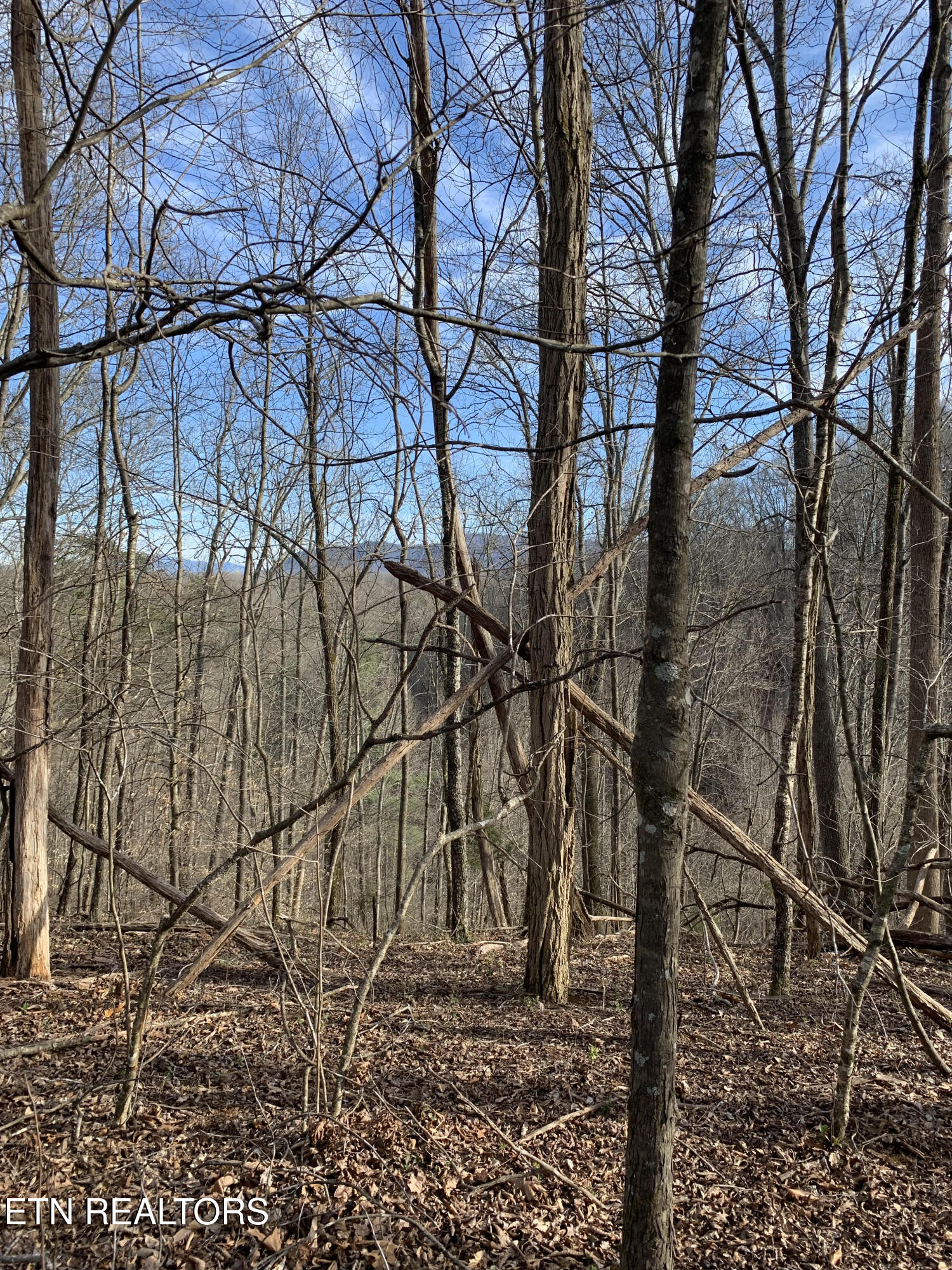 4.38 Ac N Shiloh Road Seymour TN 37865