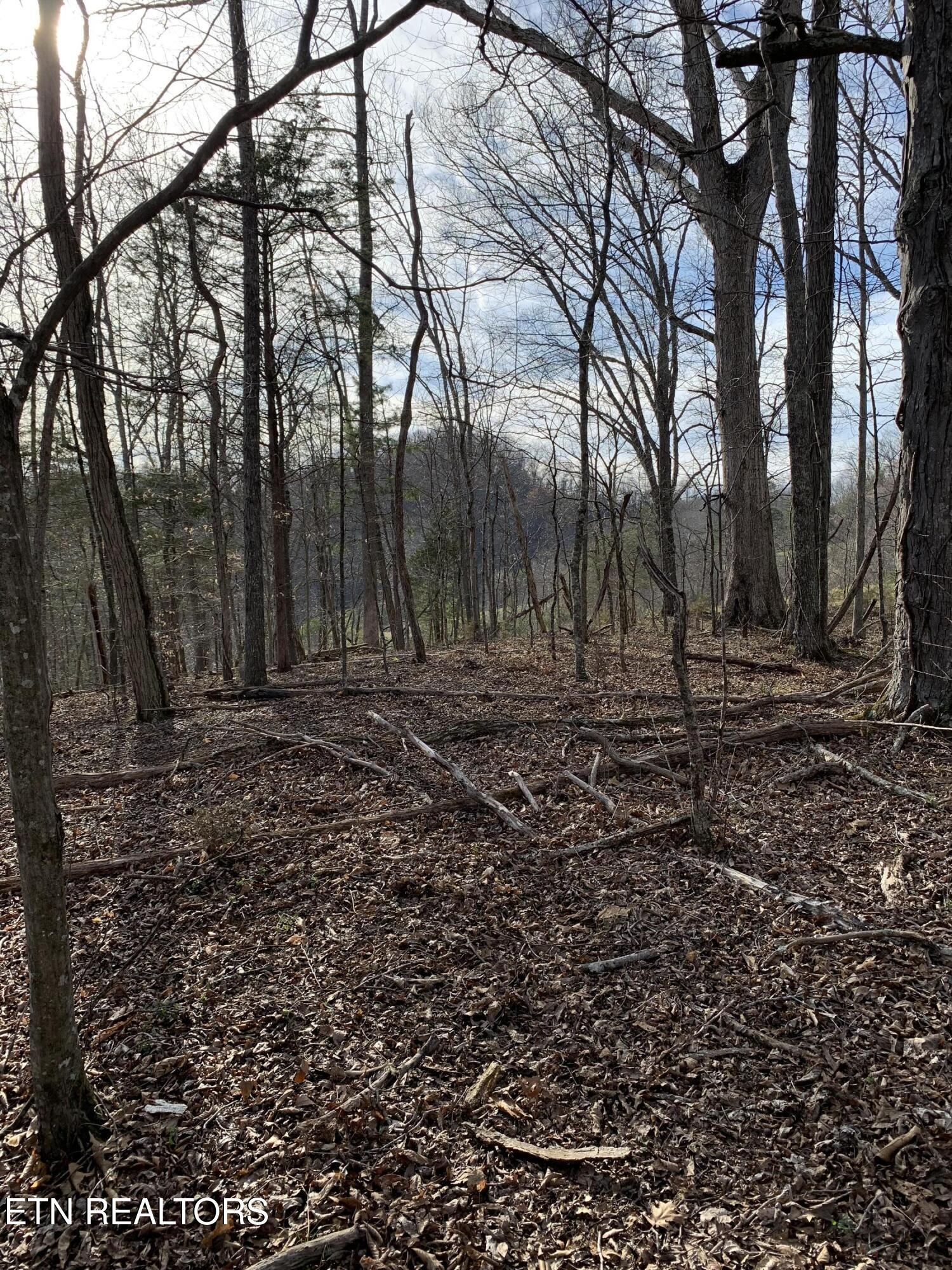 4.38 Ac N Shiloh Road Seymour TN 37865