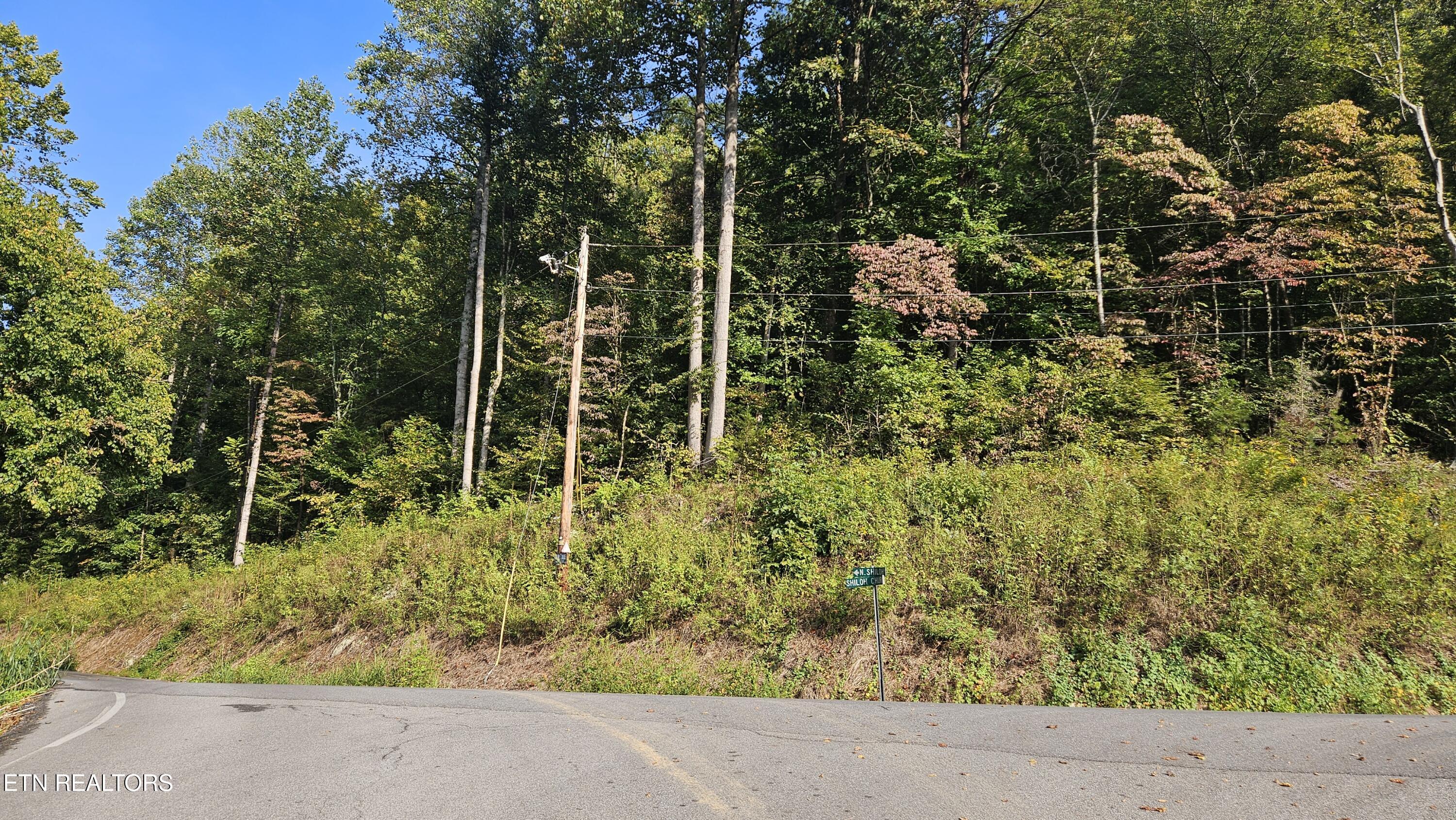 4.38 Ac N Shiloh Road Seymour TN 37865