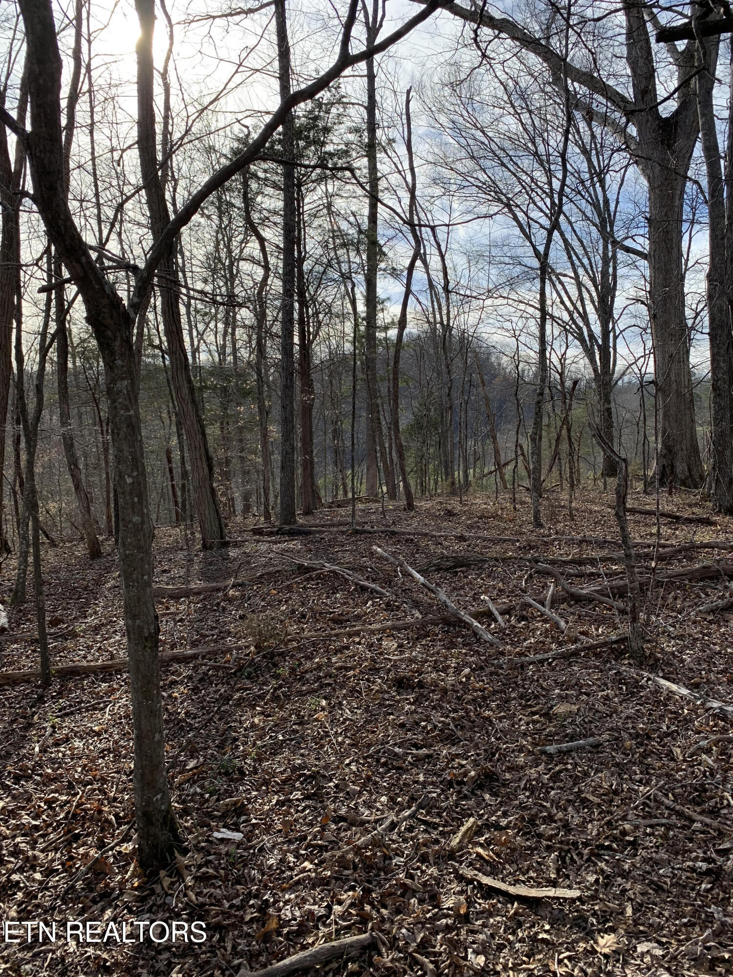 4.38 Ac N Shiloh Road Seymour TN 37865