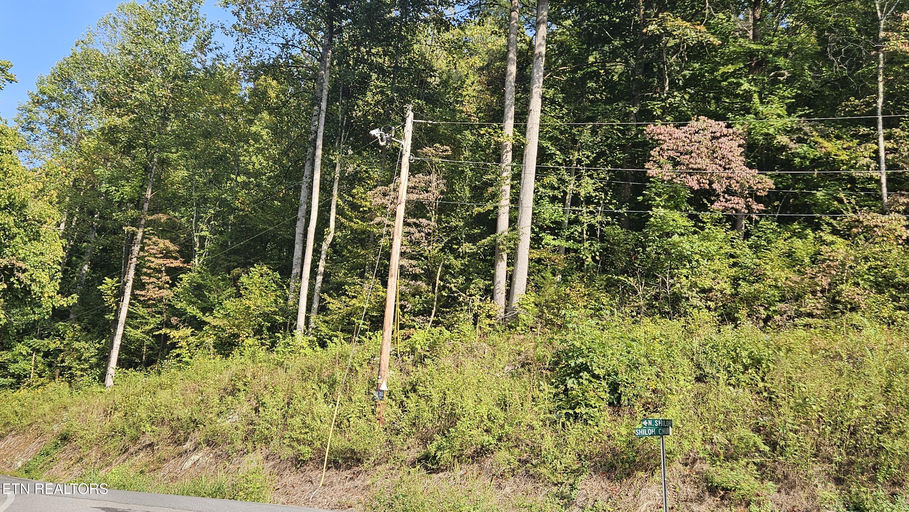 4.38 Ac N Shiloh Road Seymour TN 37865