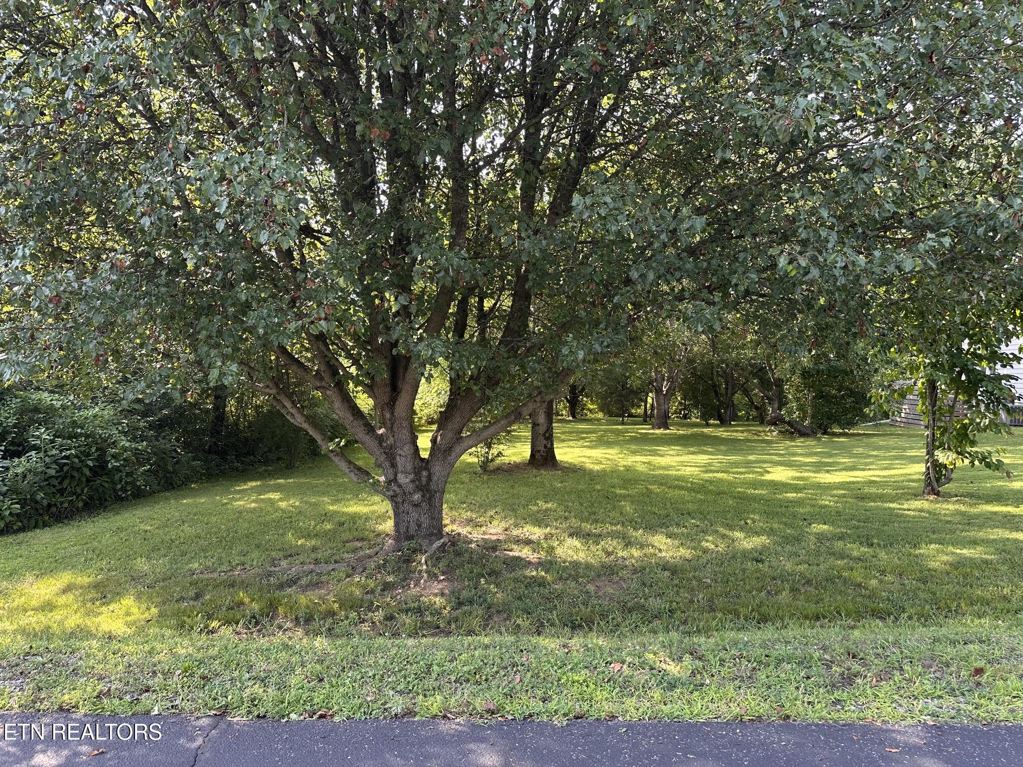 135 Ogana Way Loudon TN 37774