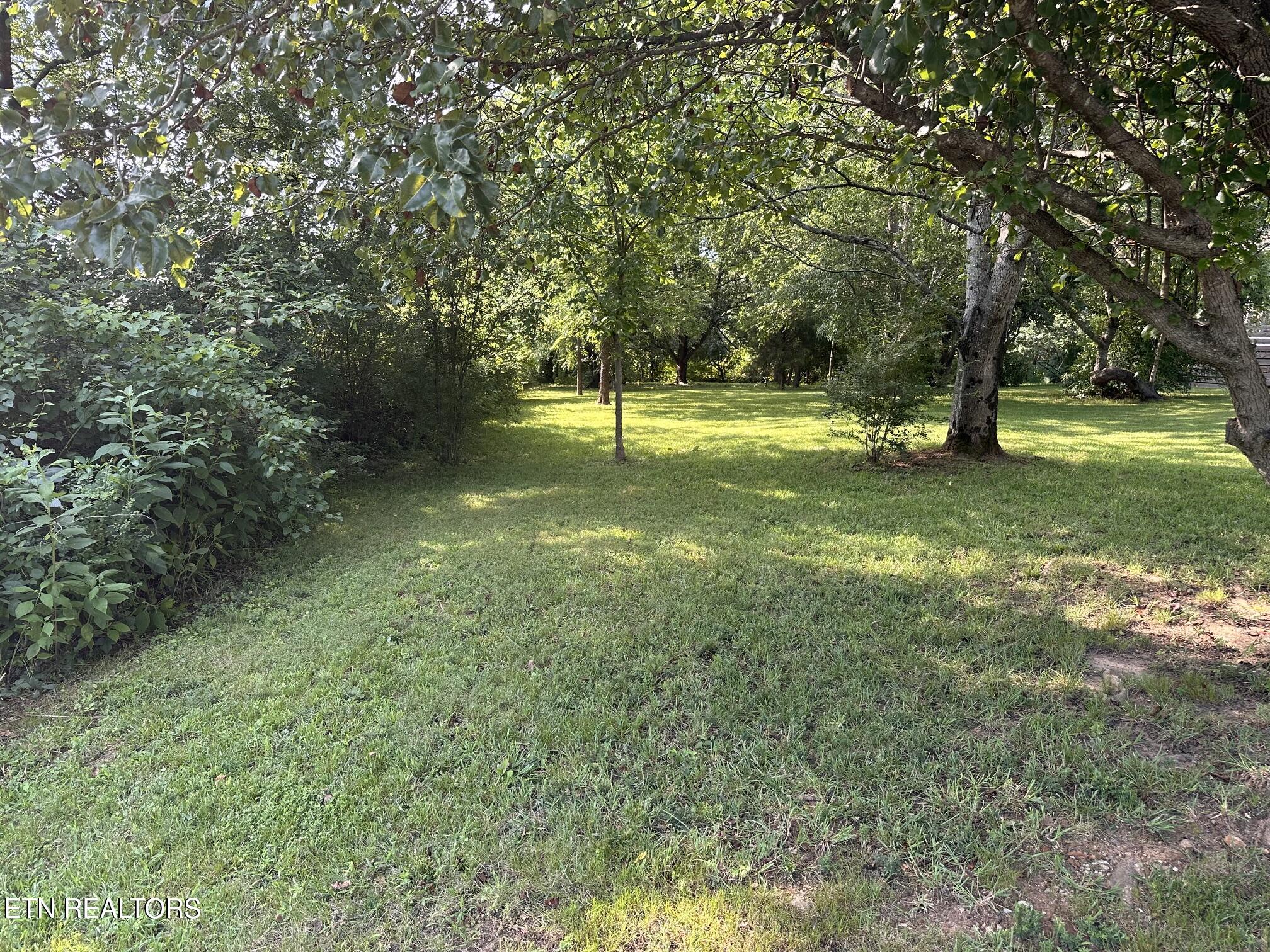 135 Ogana Way Loudon TN 37774