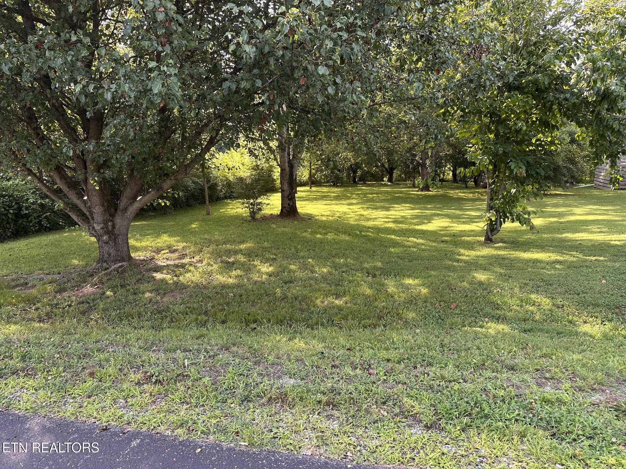 135 Ogana Way Loudon TN 37774