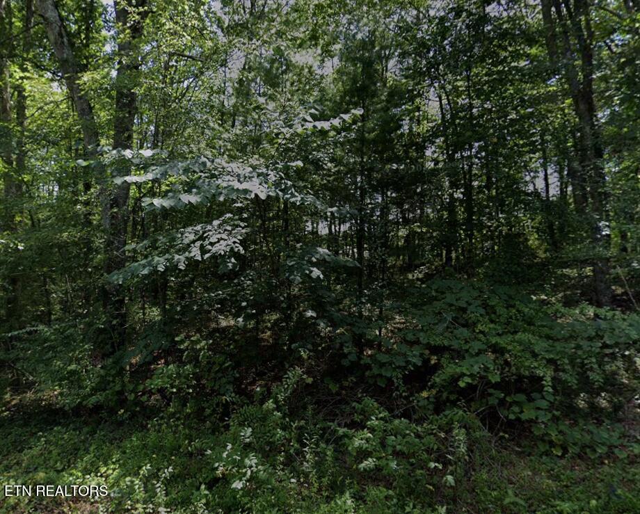 7014 Ute Lane Crossville TN 38572