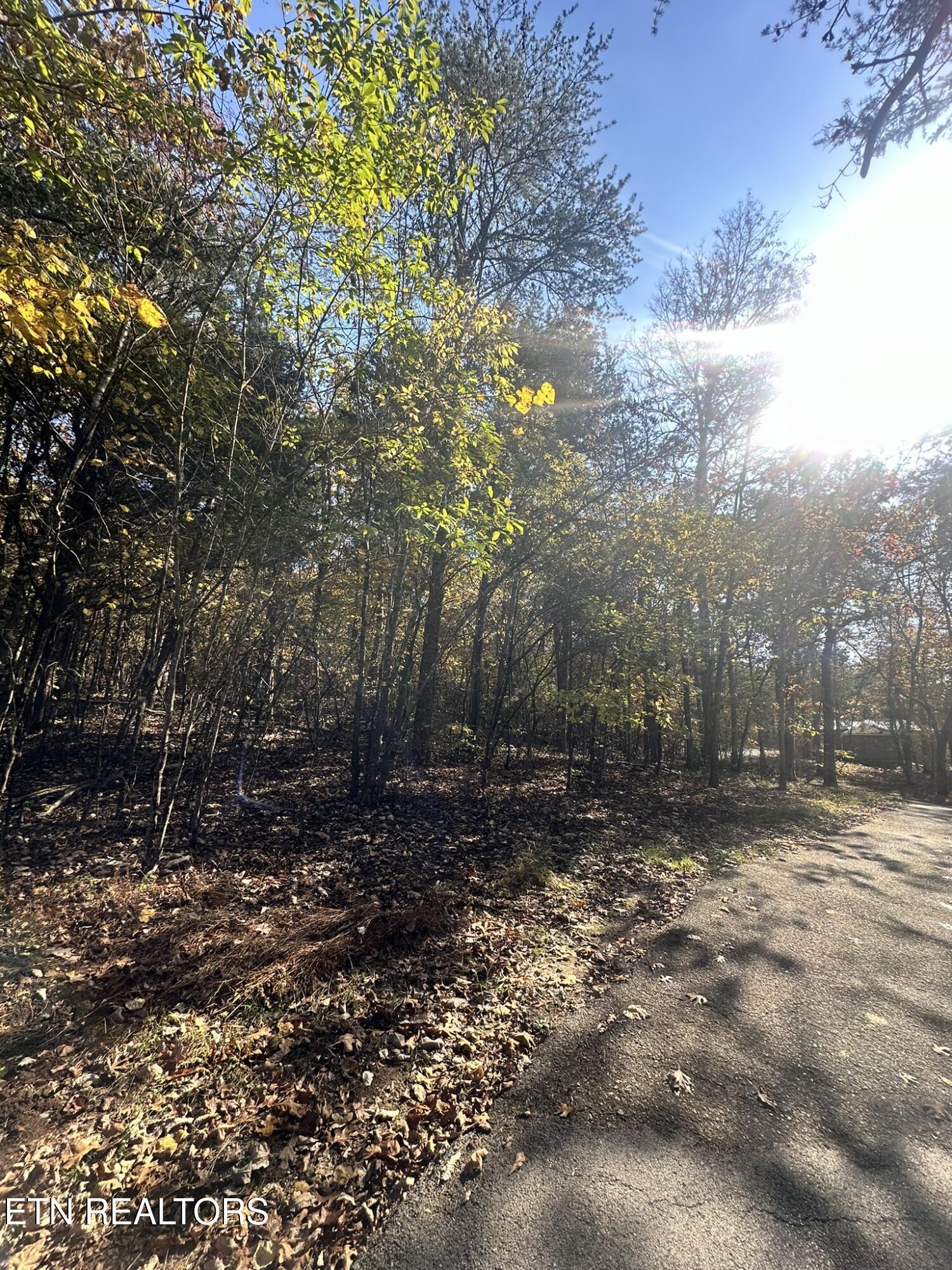 656 Bluegreen Way Tazewell TN 37879